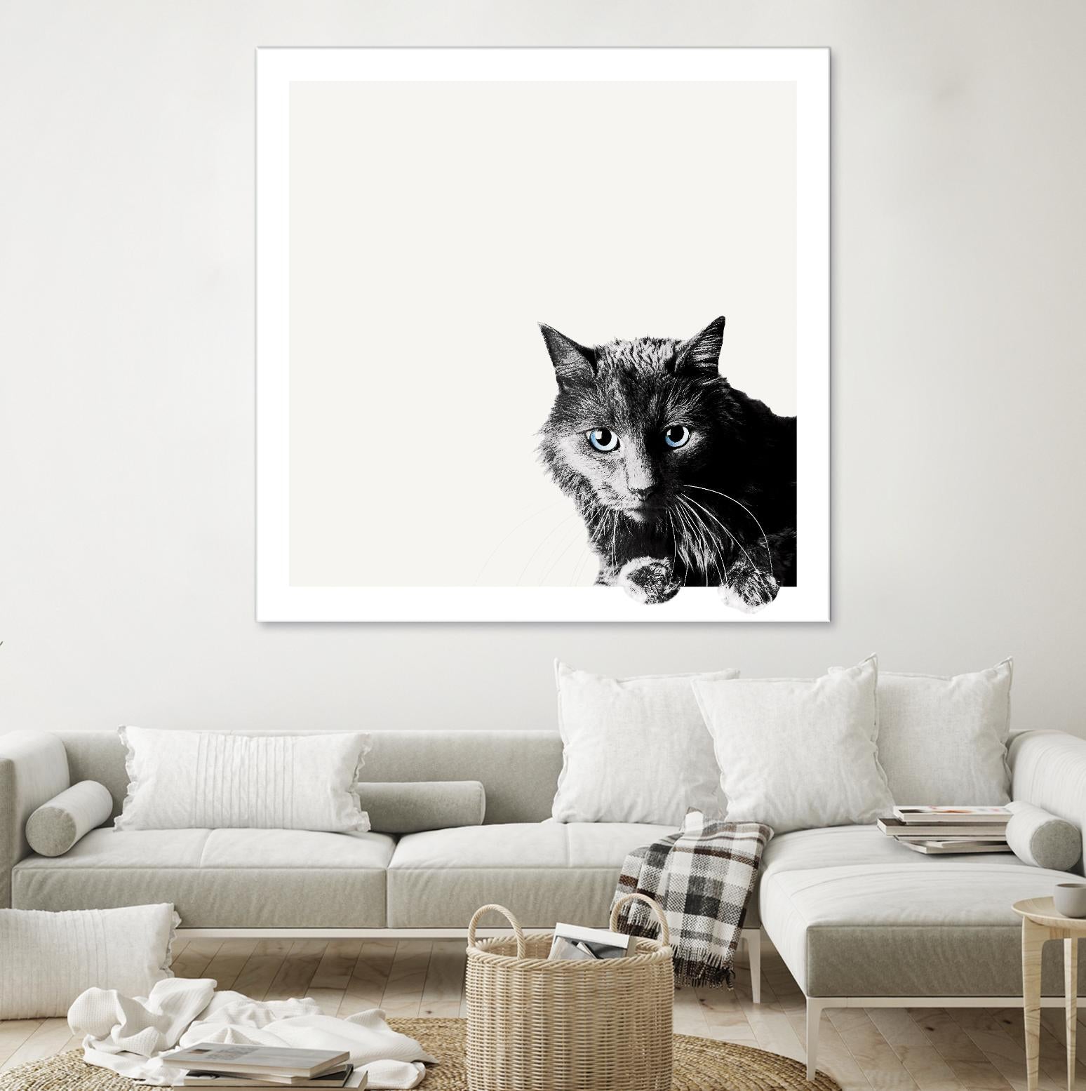 Inquisitive by Jon Bertelli on GIANT ART - multicolor animals; photography