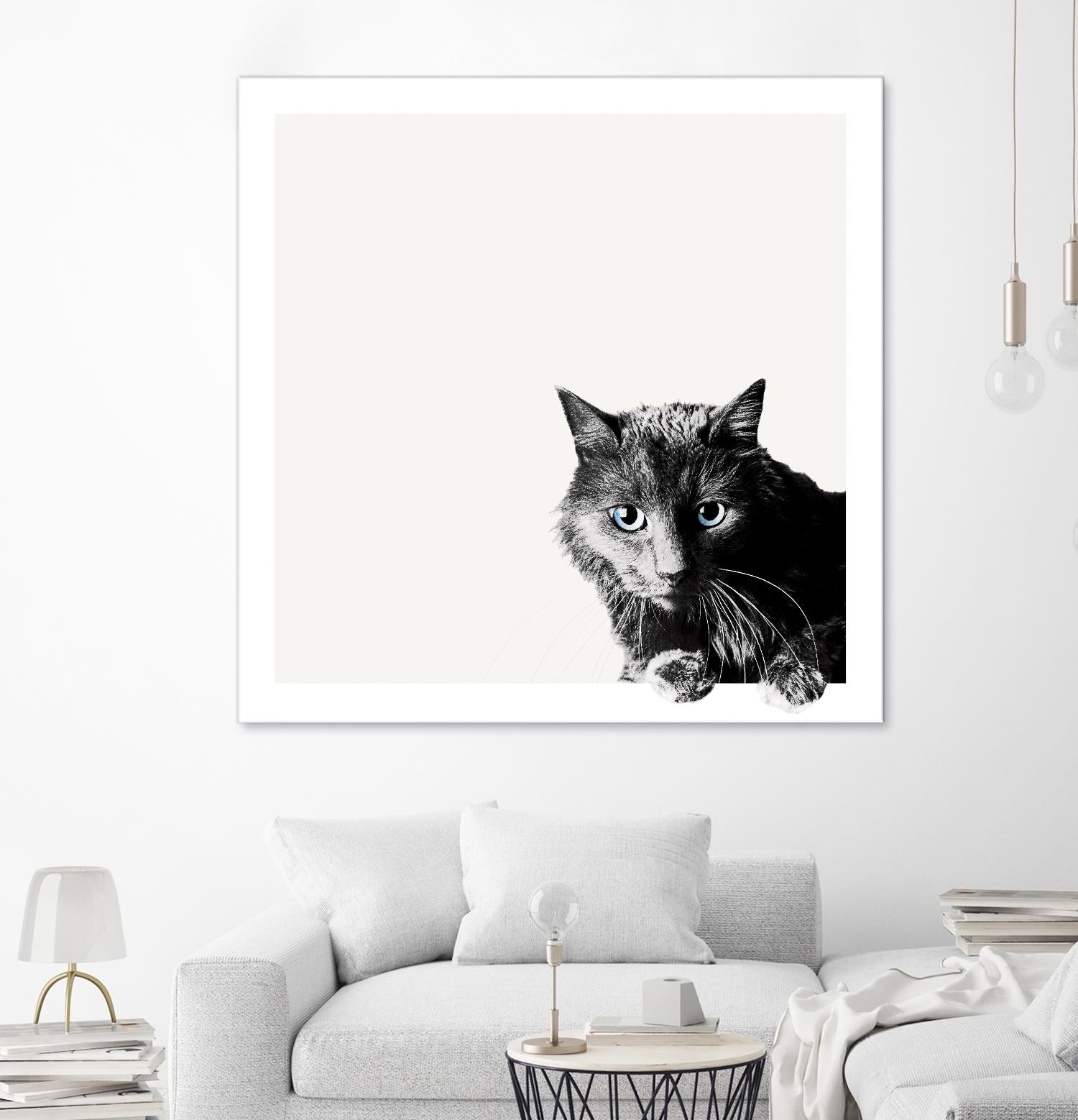 Inquisitive by Jon Bertelli on GIANT ART - multicolor animals; photography