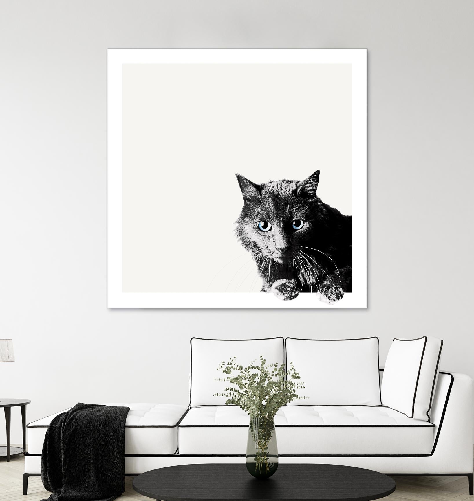 Inquisitive by Jon Bertelli on GIANT ART - multicolor animals; photography