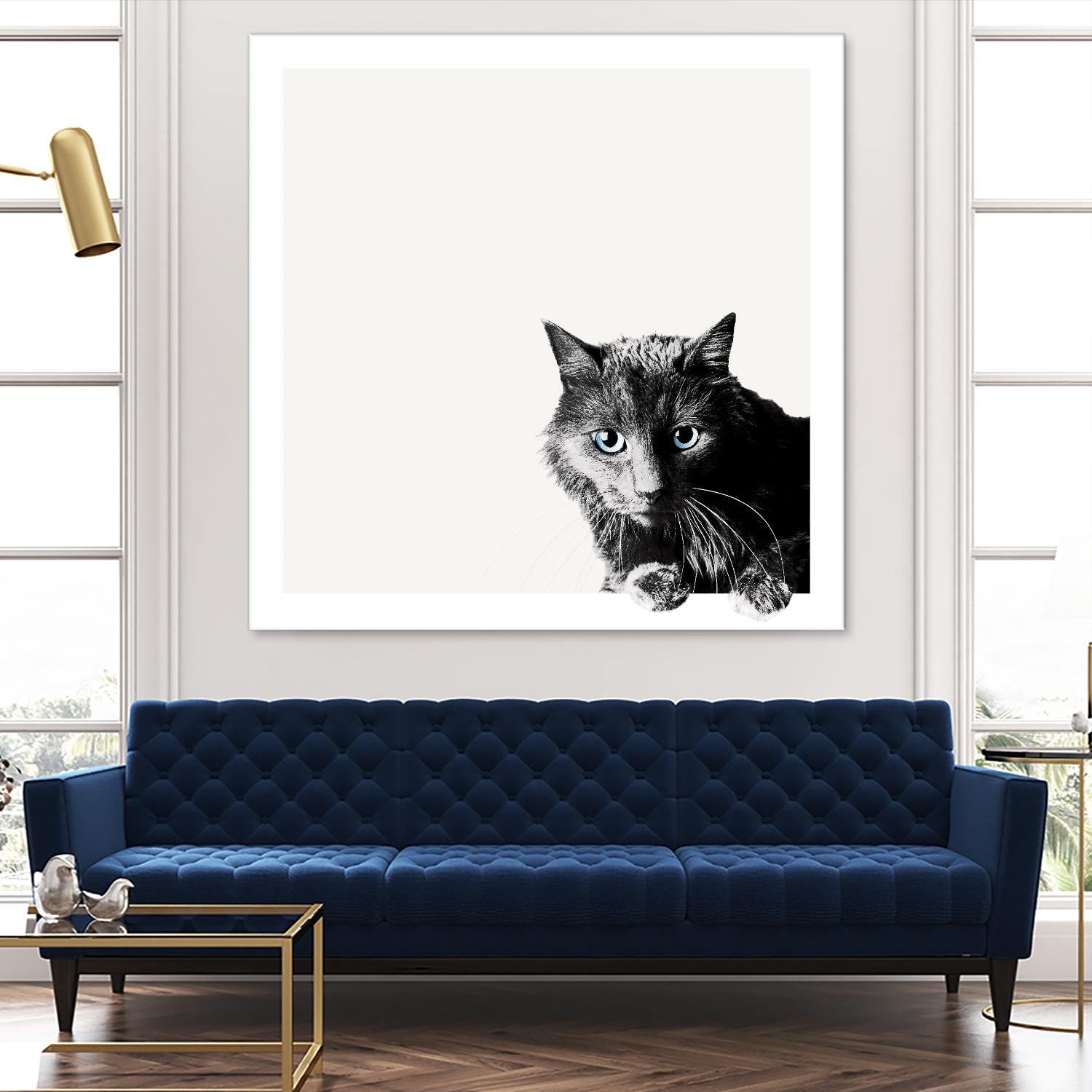 Inquisitive by Jon Bertelli on GIANT ART - multicolor animals; photography