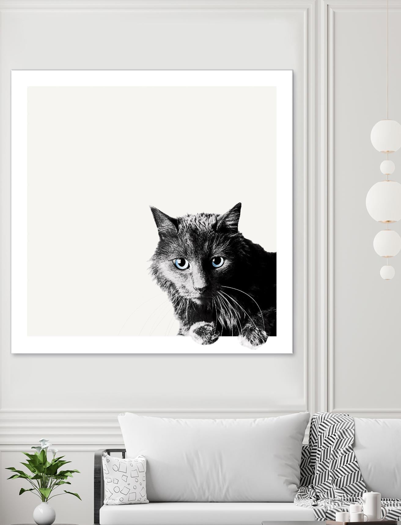 Inquisitive by Jon Bertelli on GIANT ART - multicolor animals; photography