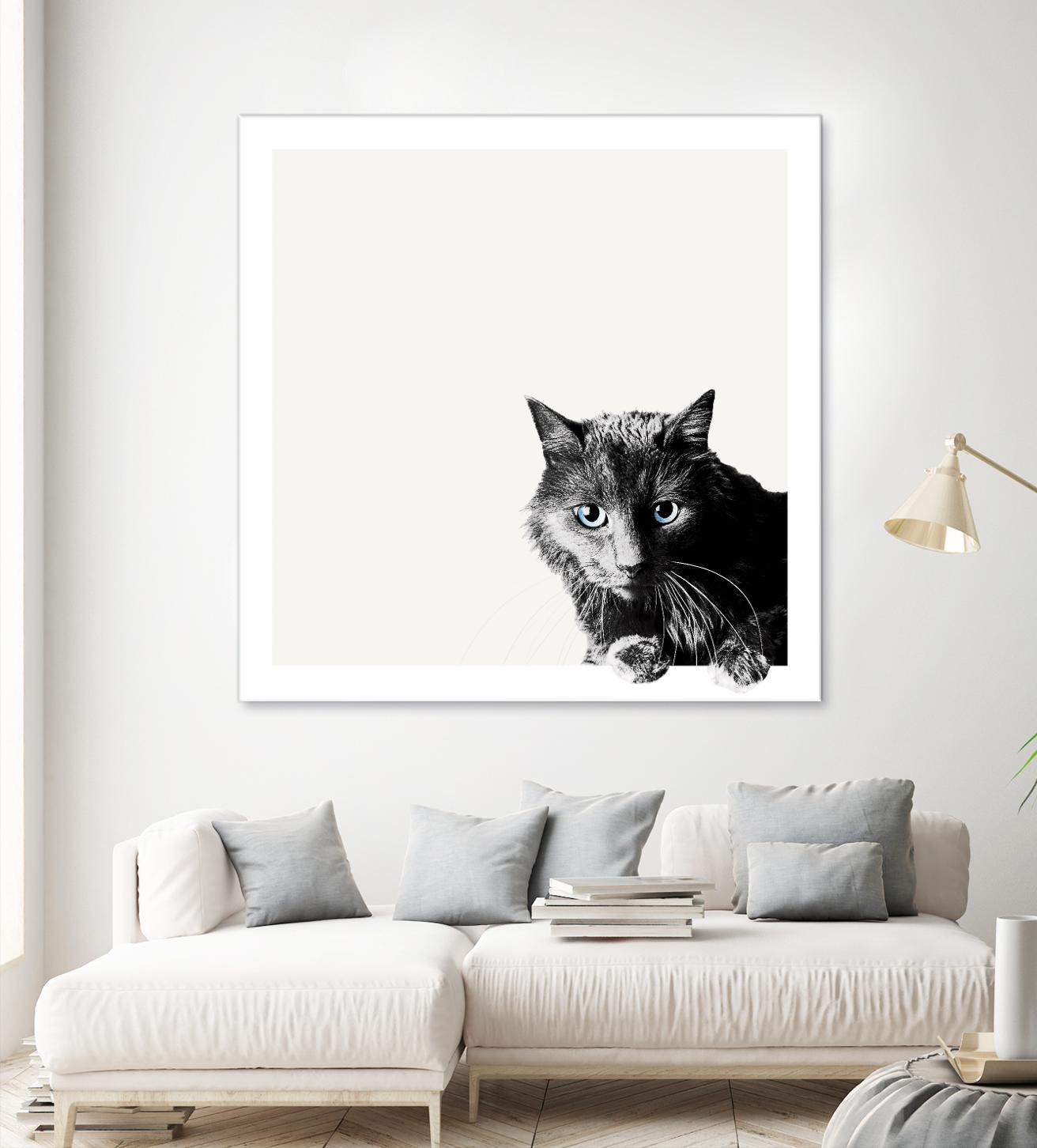 Inquisitive by Jon Bertelli on GIANT ART - multicolor animals; photography