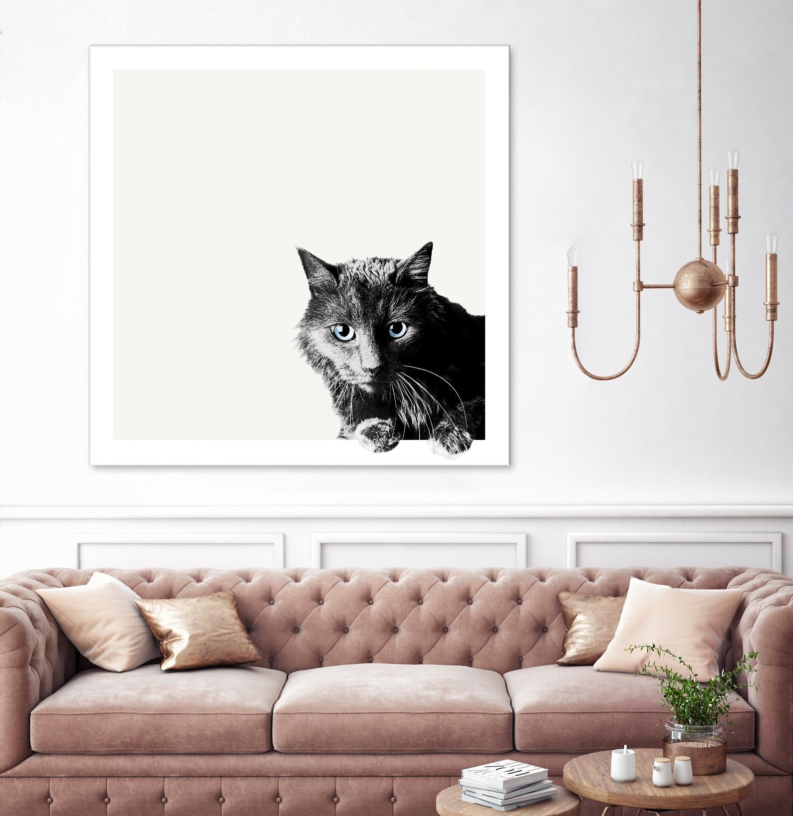 Inquisitive by Jon Bertelli on GIANT ART - multicolor animals; photography