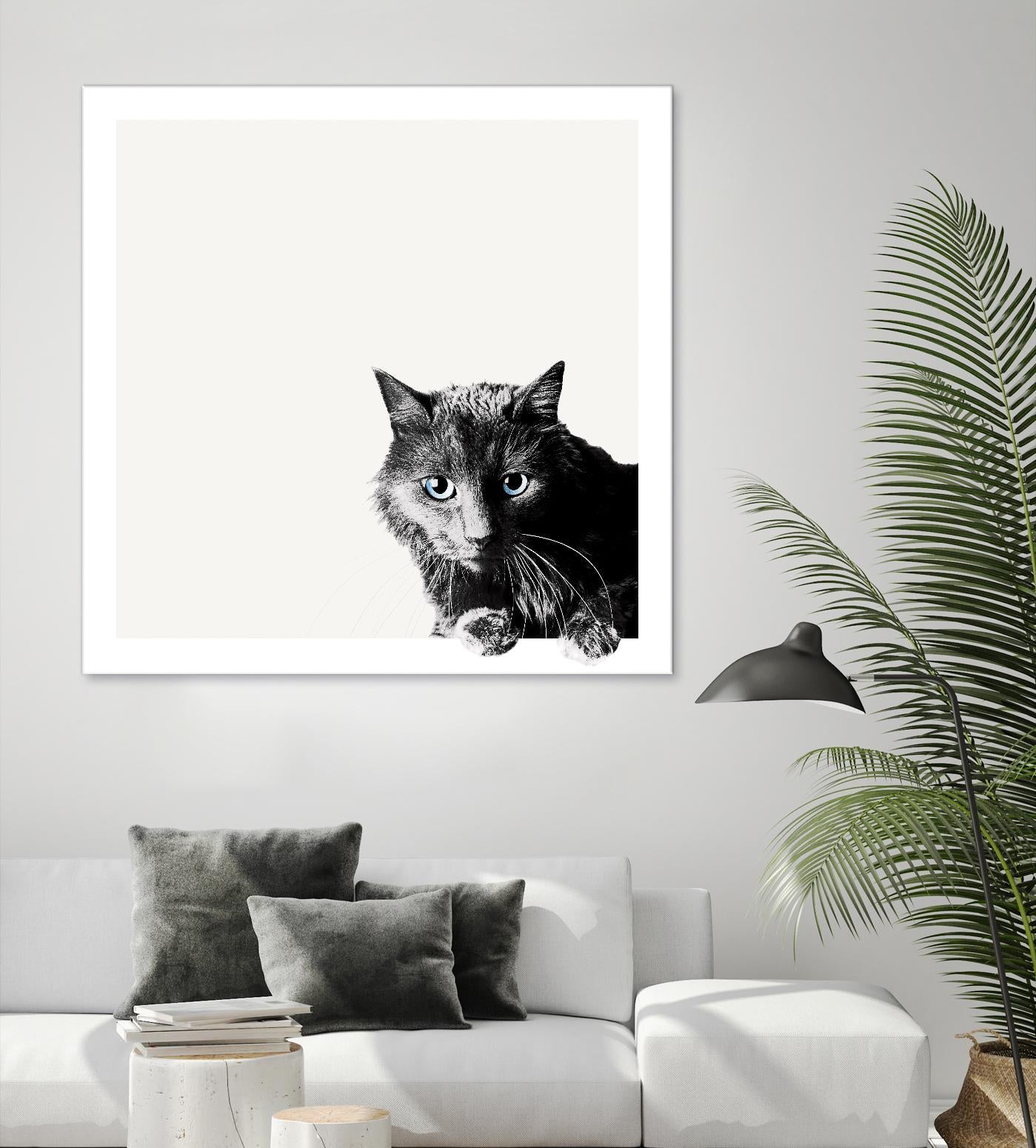 Inquisitive by Jon Bertelli on GIANT ART - multicolor animals; photography