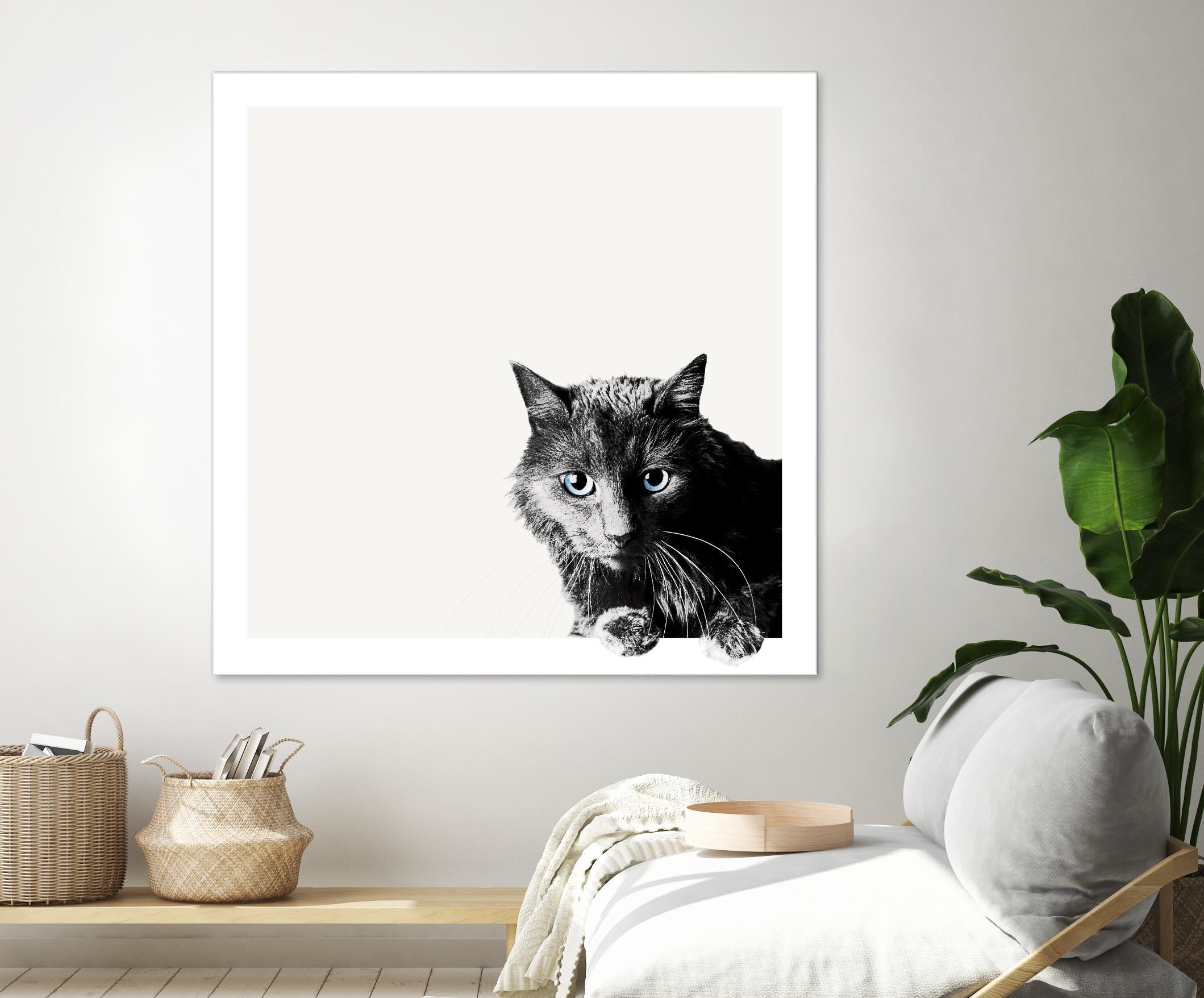 Inquisitive by Jon Bertelli on GIANT ART - multicolor animals; photography