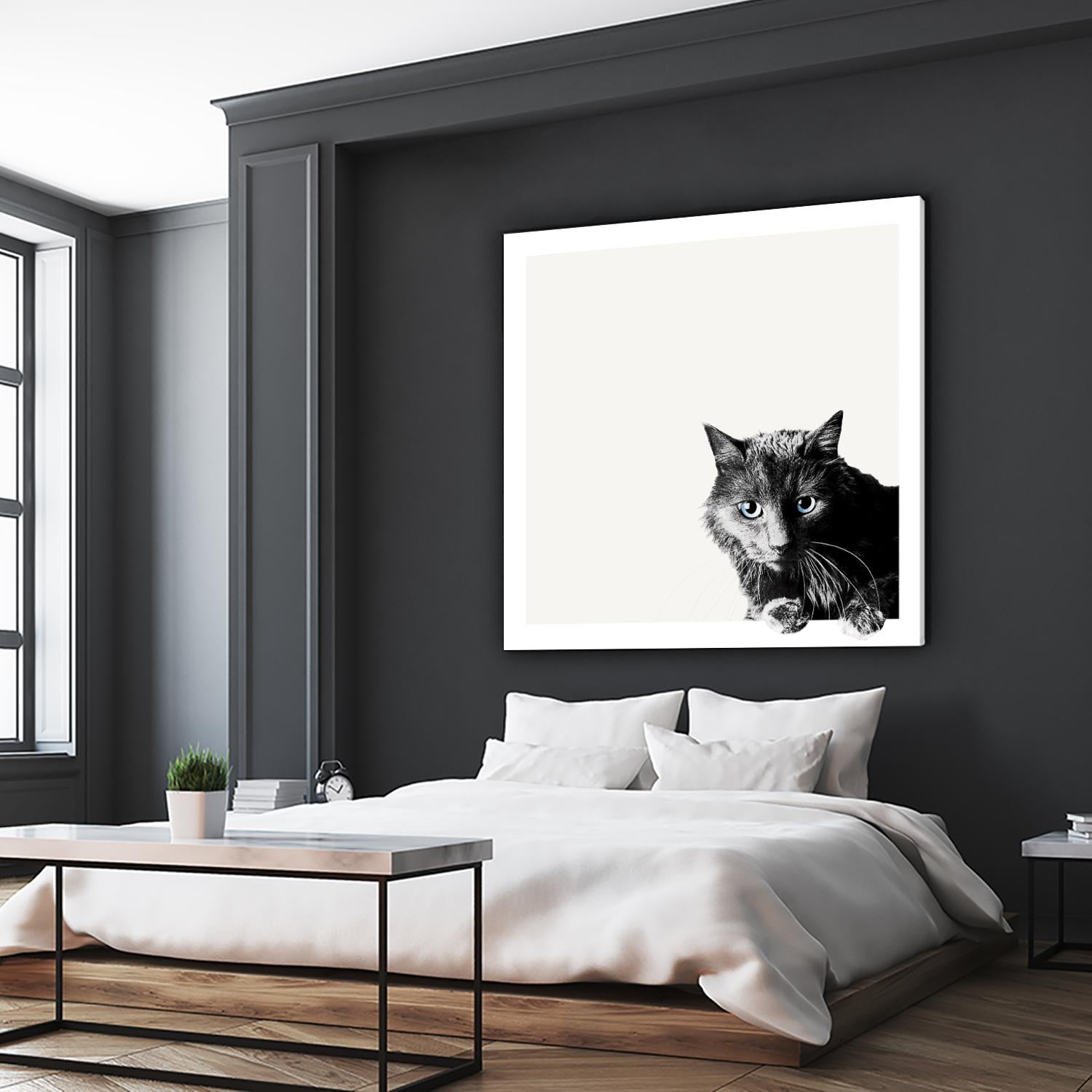 Inquisitive by Jon Bertelli on GIANT ART - multicolor animals; photography