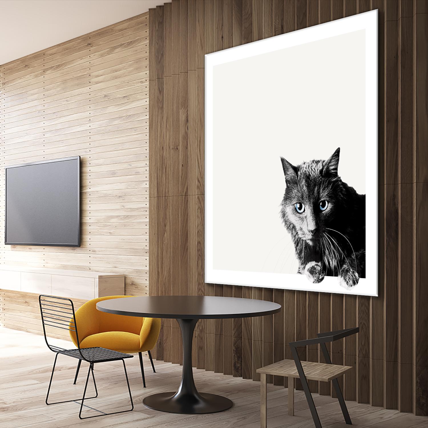 Inquisitive by Jon Bertelli on GIANT ART - multicolor animals; photography