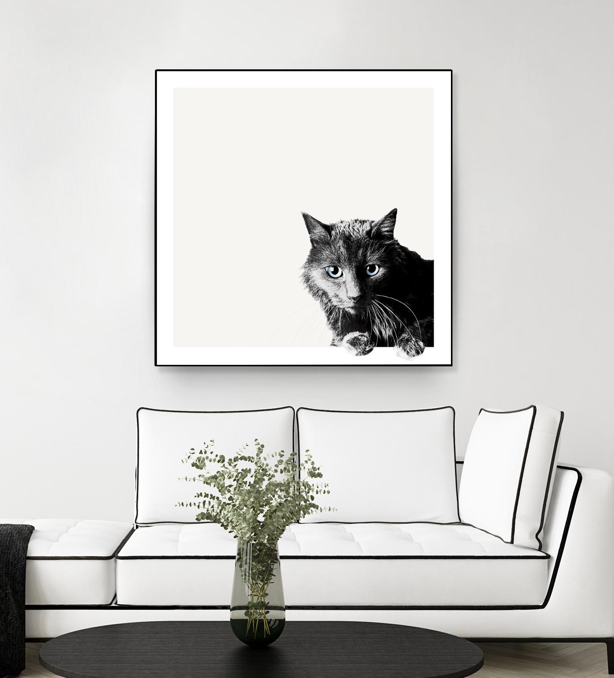 Inquisitive by Jon Bertelli on GIANT ART - multicolor animals; photography