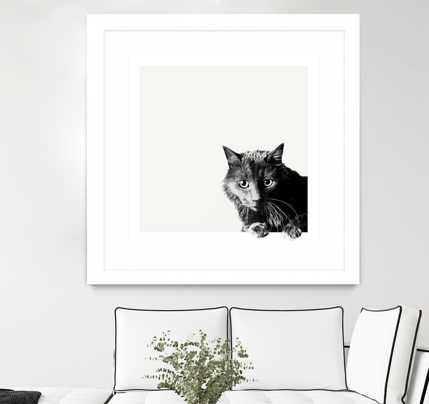 Inquisitive by Jon Bertelli on GIANT ART - multicolor animals; photography