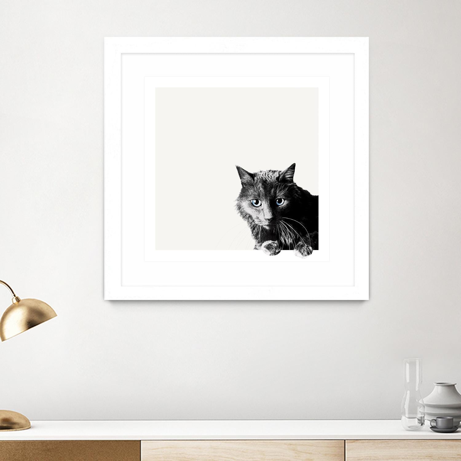 Inquisitive by Jon Bertelli on GIANT ART - multicolor animals; photography