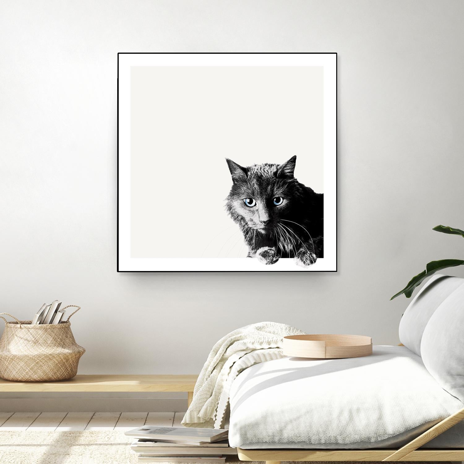 Inquisitive by Jon Bertelli on GIANT ART - multicolor animals; photography