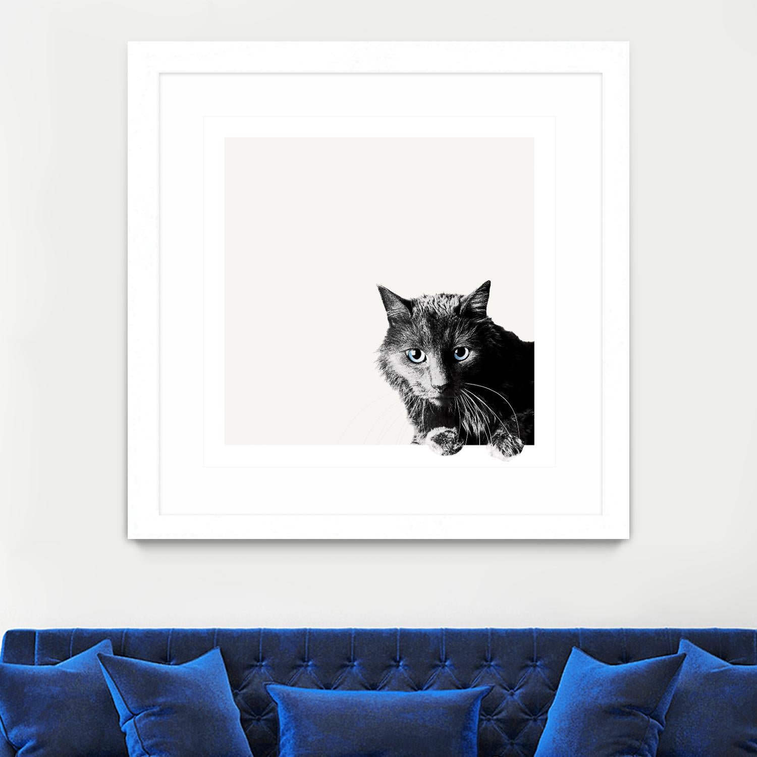 Inquisitive by Jon Bertelli on GIANT ART - multicolor animals; photography