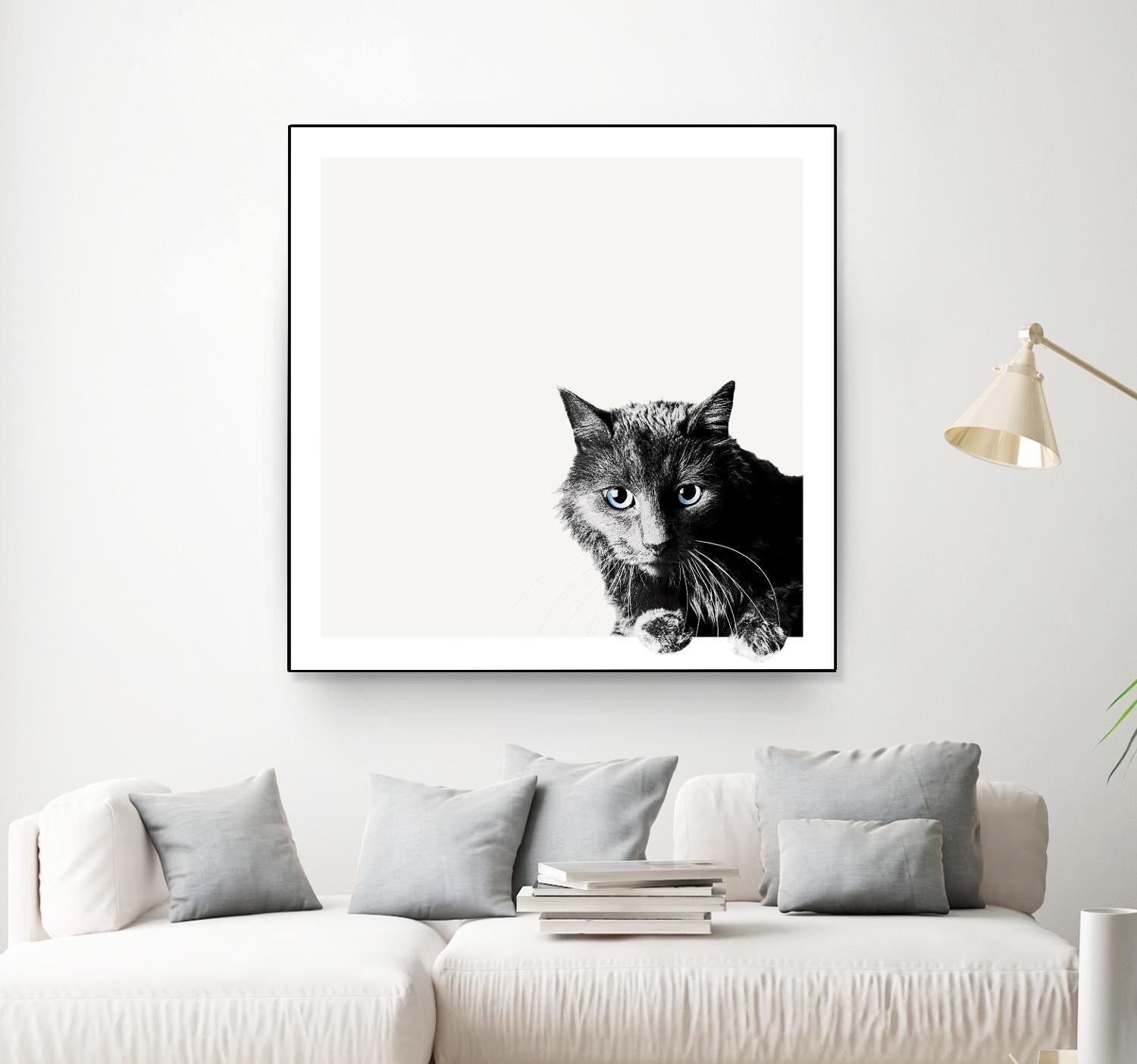 Inquisitive by Jon Bertelli on GIANT ART - multicolor animals; photography