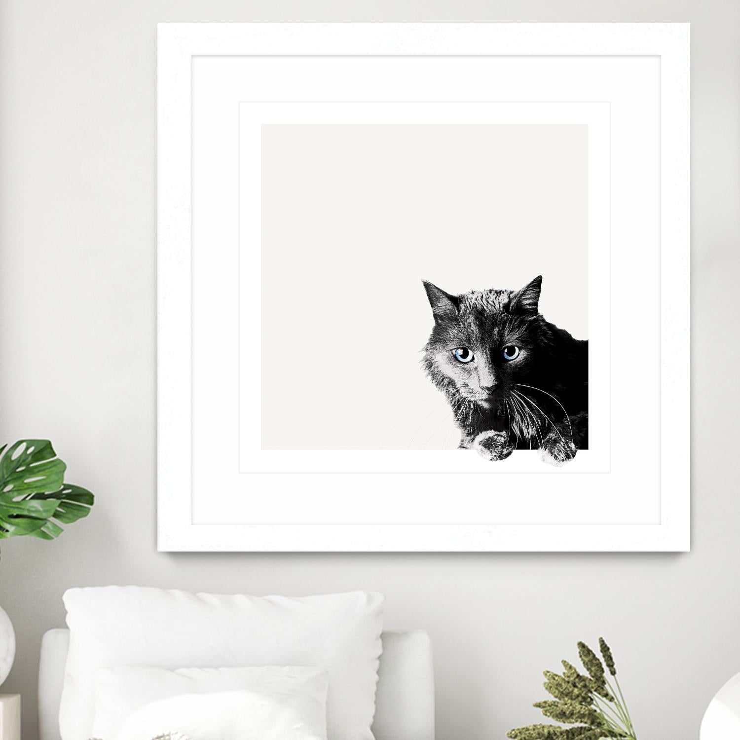 Inquisitive by Jon Bertelli on GIANT ART - multicolor animals; photography