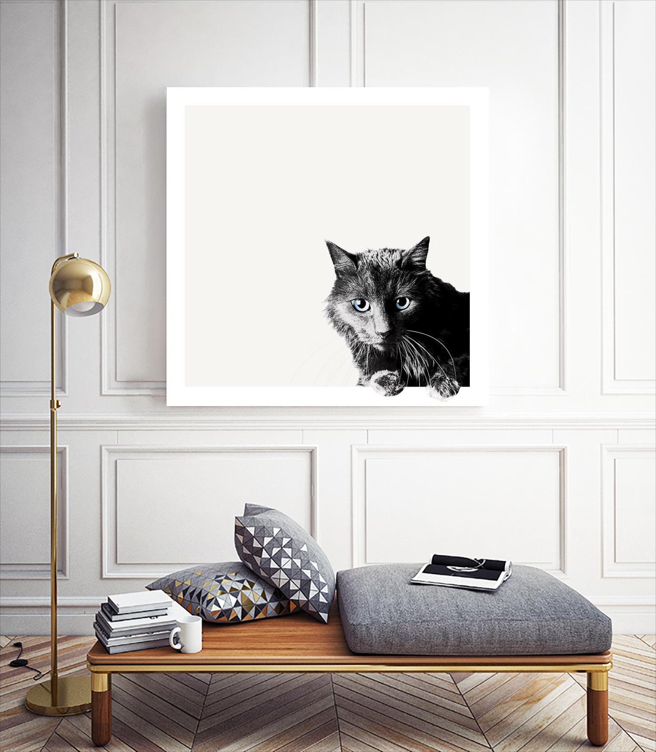 Inquisitive by Jon Bertelli on GIANT ART - multicolor animals; photography