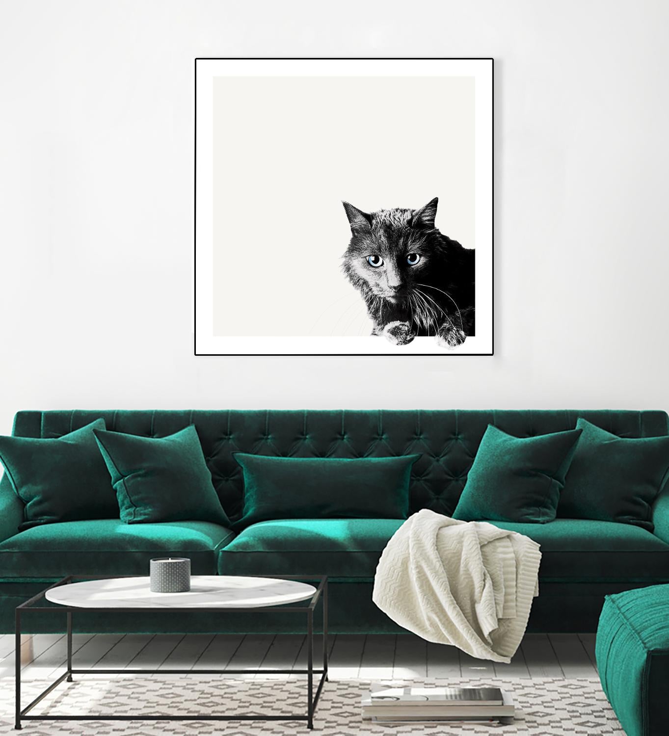 Inquisitive by Jon Bertelli on GIANT ART - multicolor animals; photography