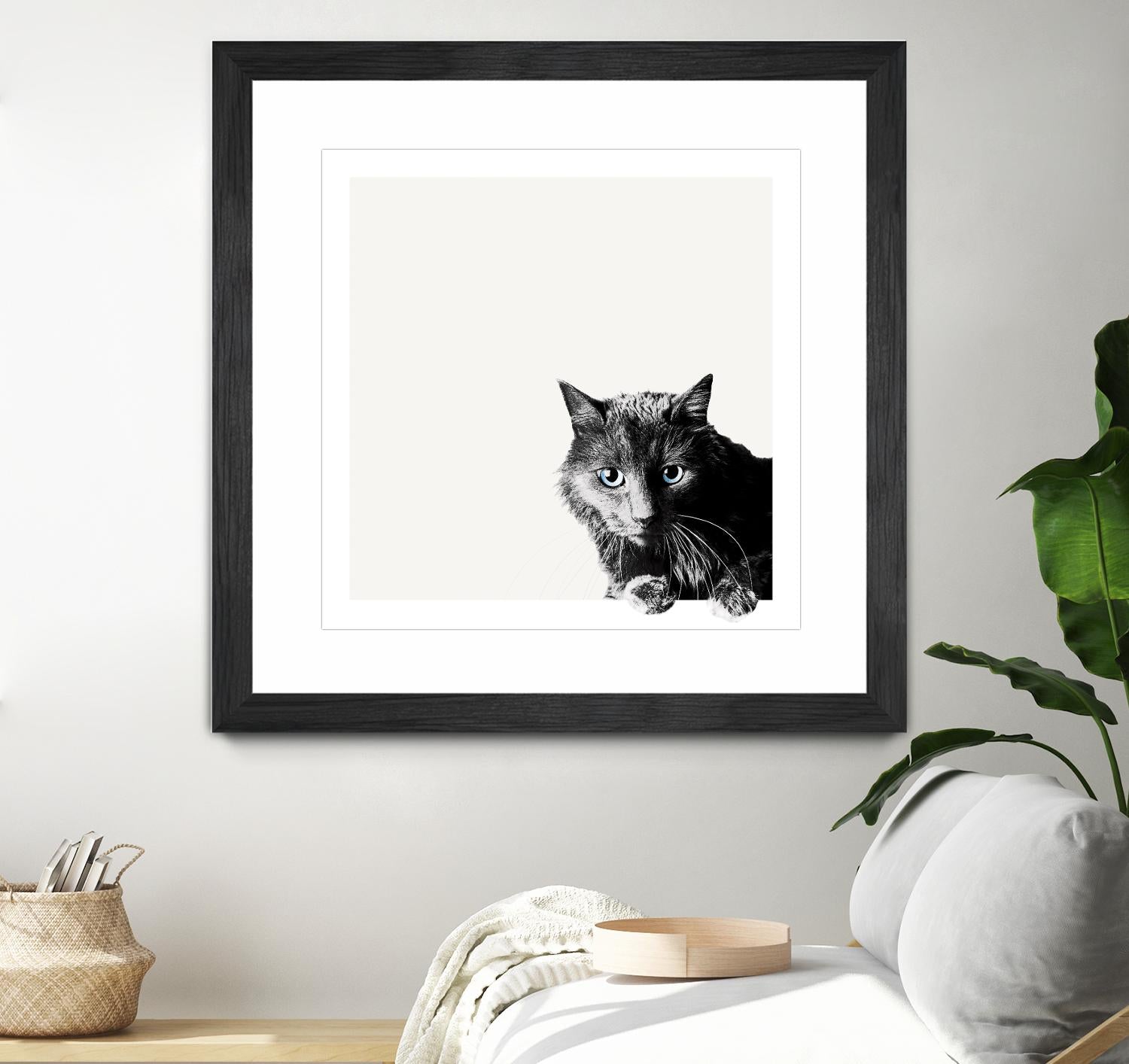 Inquisitive by Jon Bertelli on GIANT ART - multicolor animals; photography