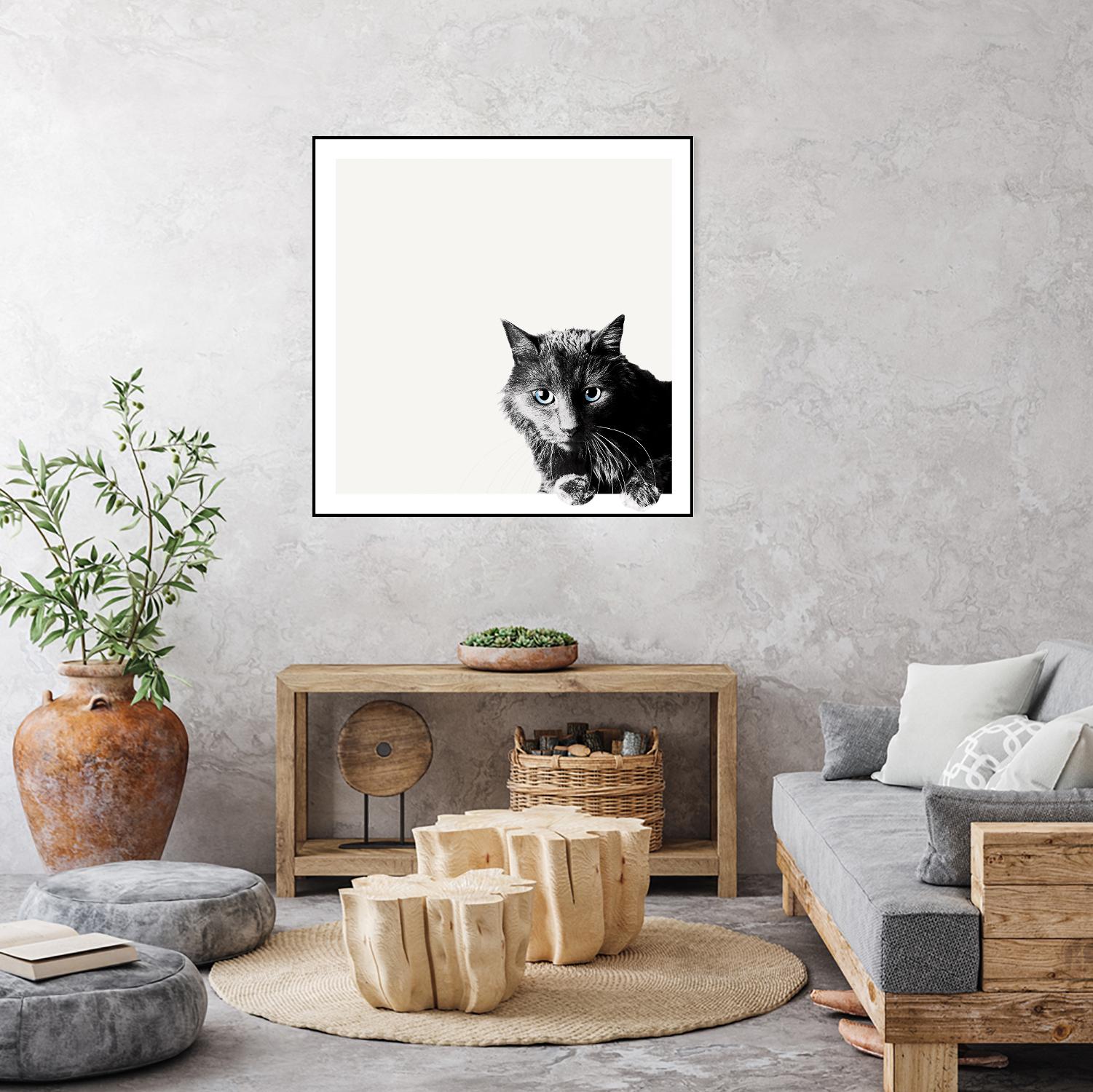 Inquisitive by Jon Bertelli on GIANT ART - multicolor animals; photography