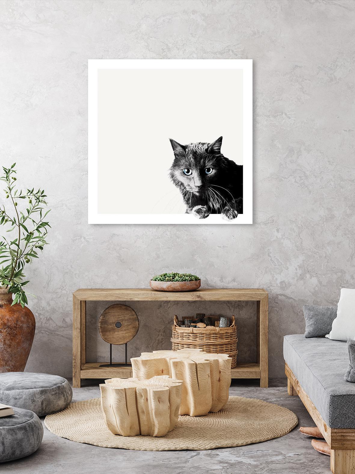 Inquisitive by Jon Bertelli on GIANT ART - multicolor animals; photography