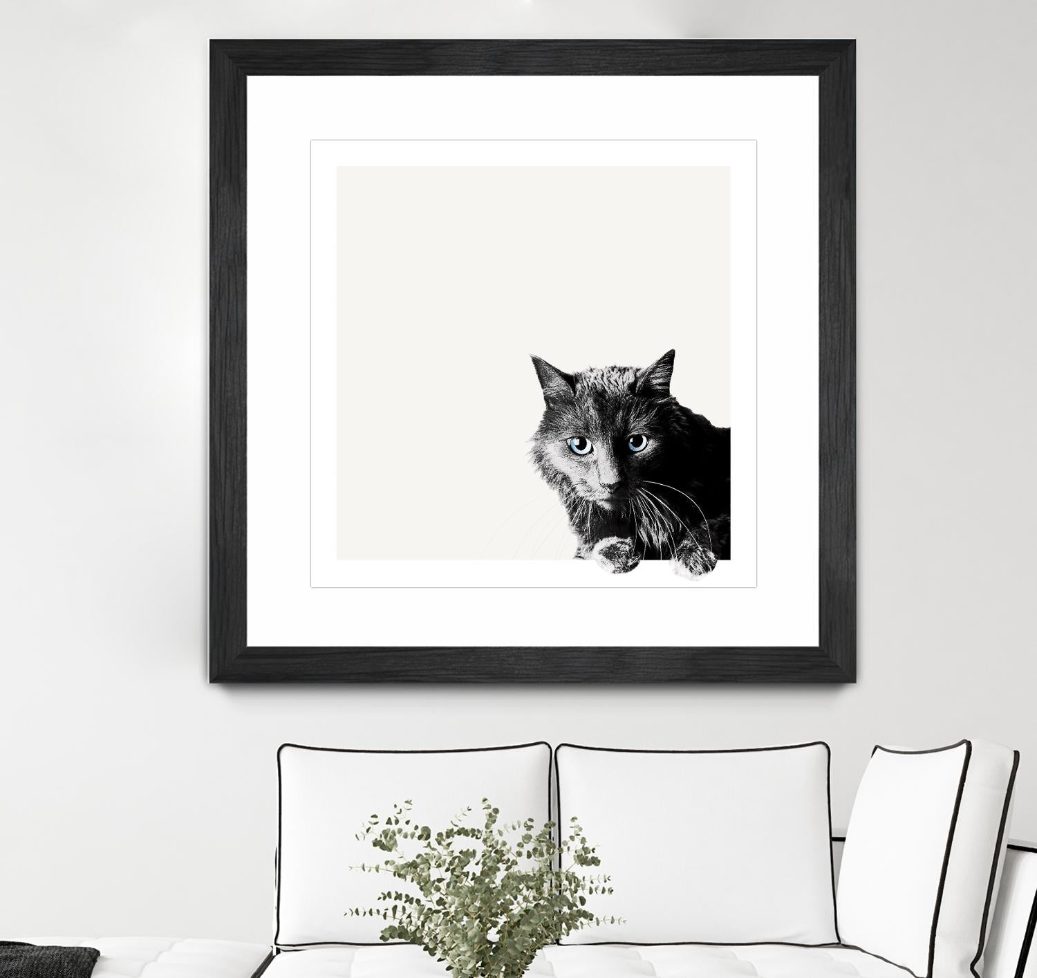 Inquisitive by Jon Bertelli on GIANT ART - multicolor animals; photography