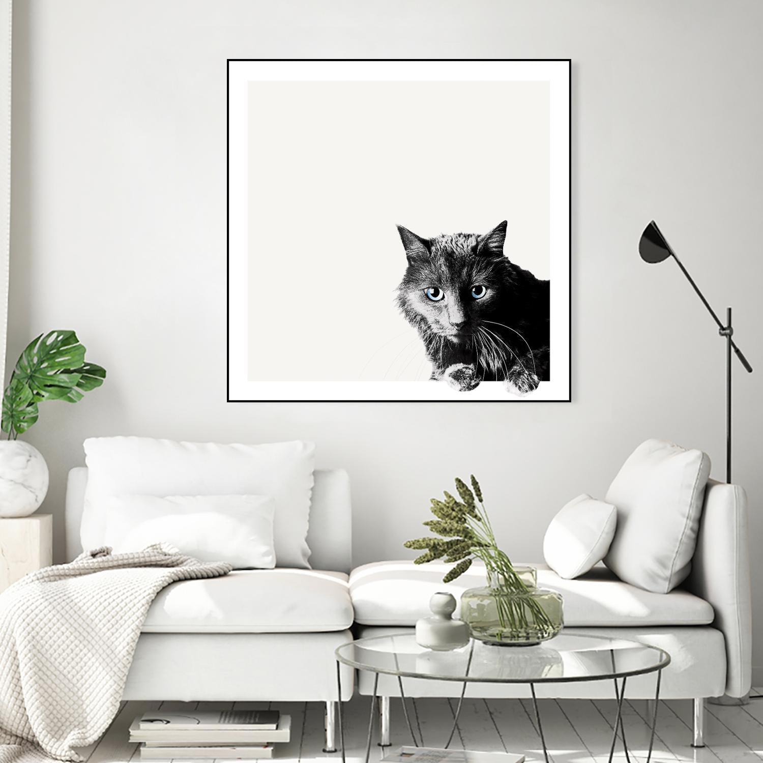 Inquisitive by Jon Bertelli on GIANT ART - multicolor animals; photography