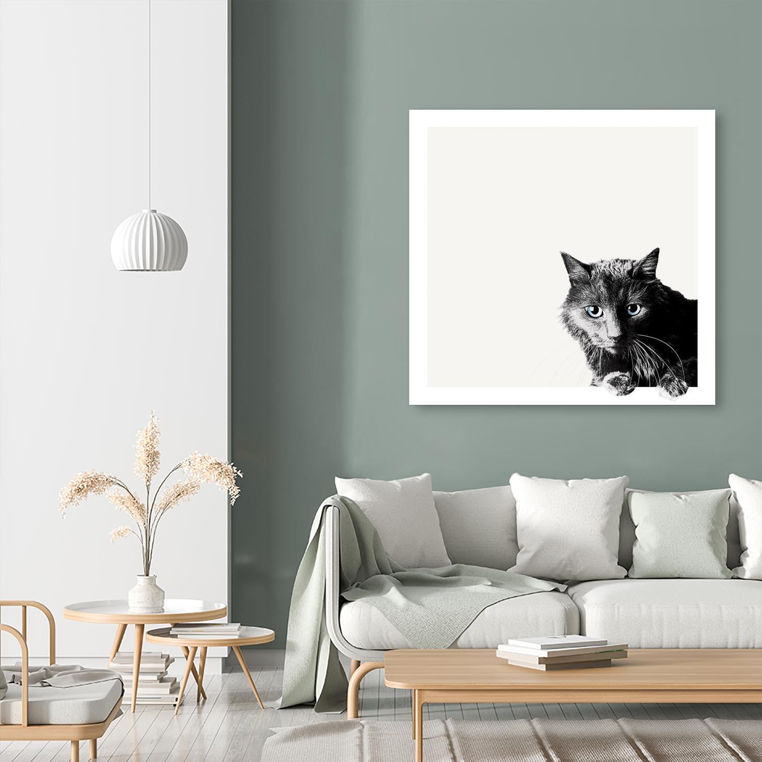 Inquisitive by Jon Bertelli on GIANT ART - multicolor animals; photography