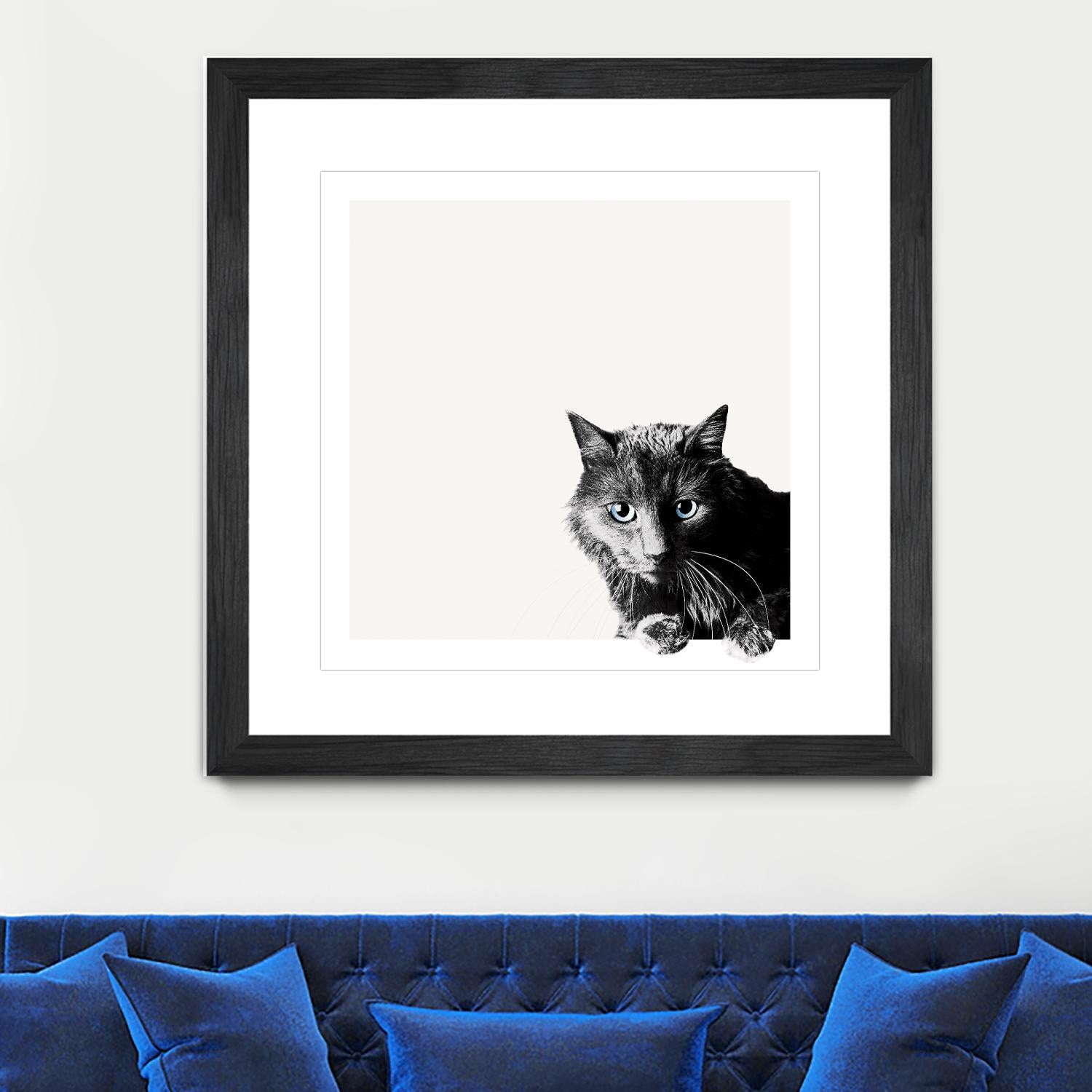 Inquisitive by Jon Bertelli on GIANT ART - multicolor animals; photography