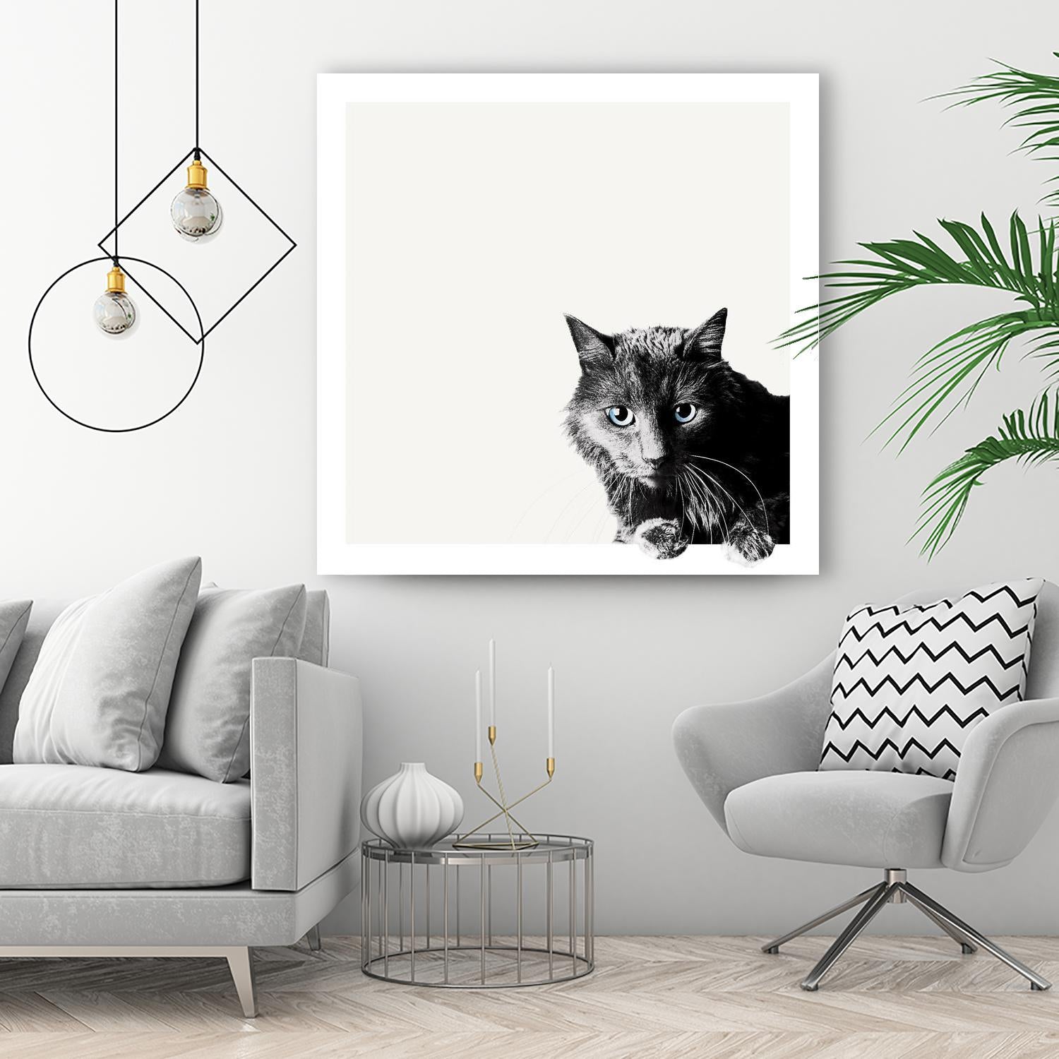 Inquisitive by Jon Bertelli on GIANT ART - multicolor animals; photography