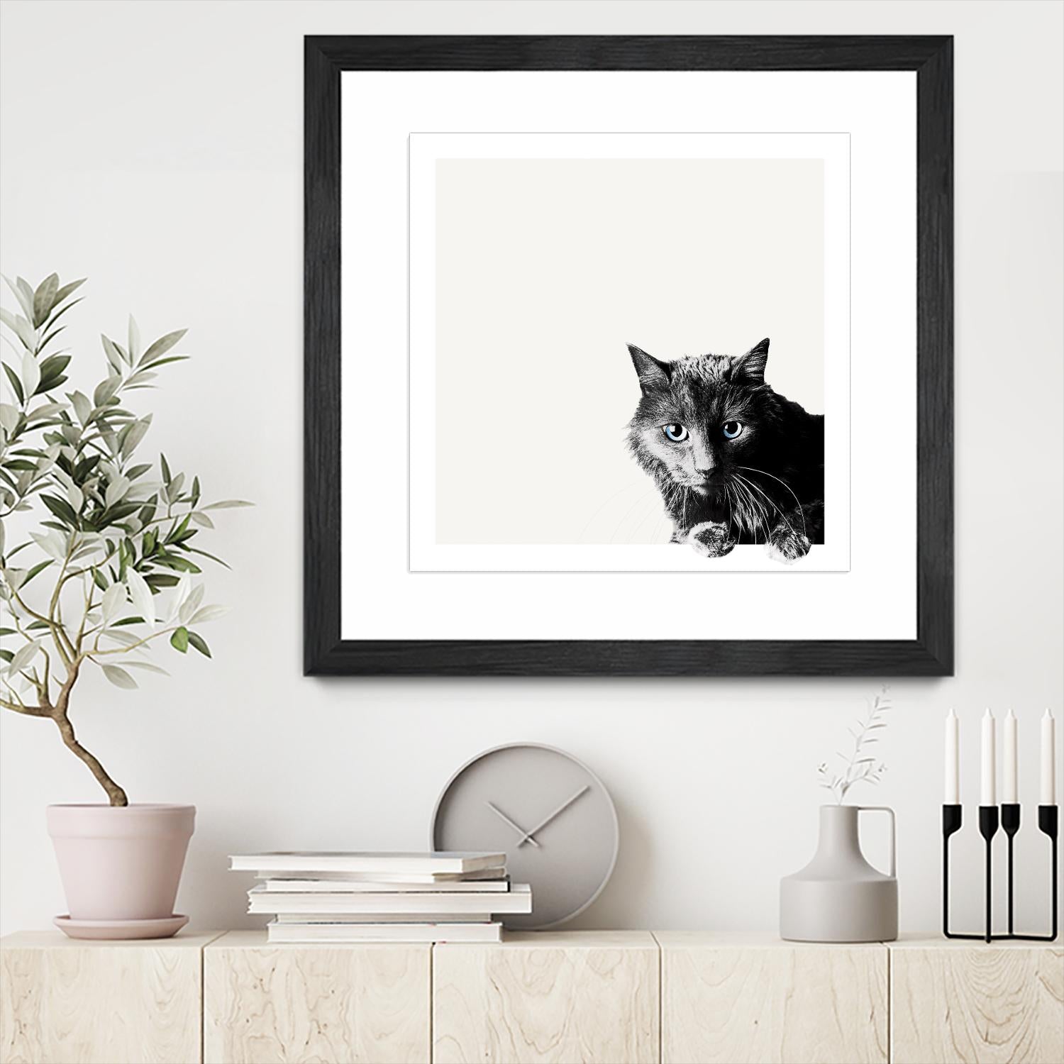 Inquisitive by Jon Bertelli on GIANT ART - multicolor animals; photography