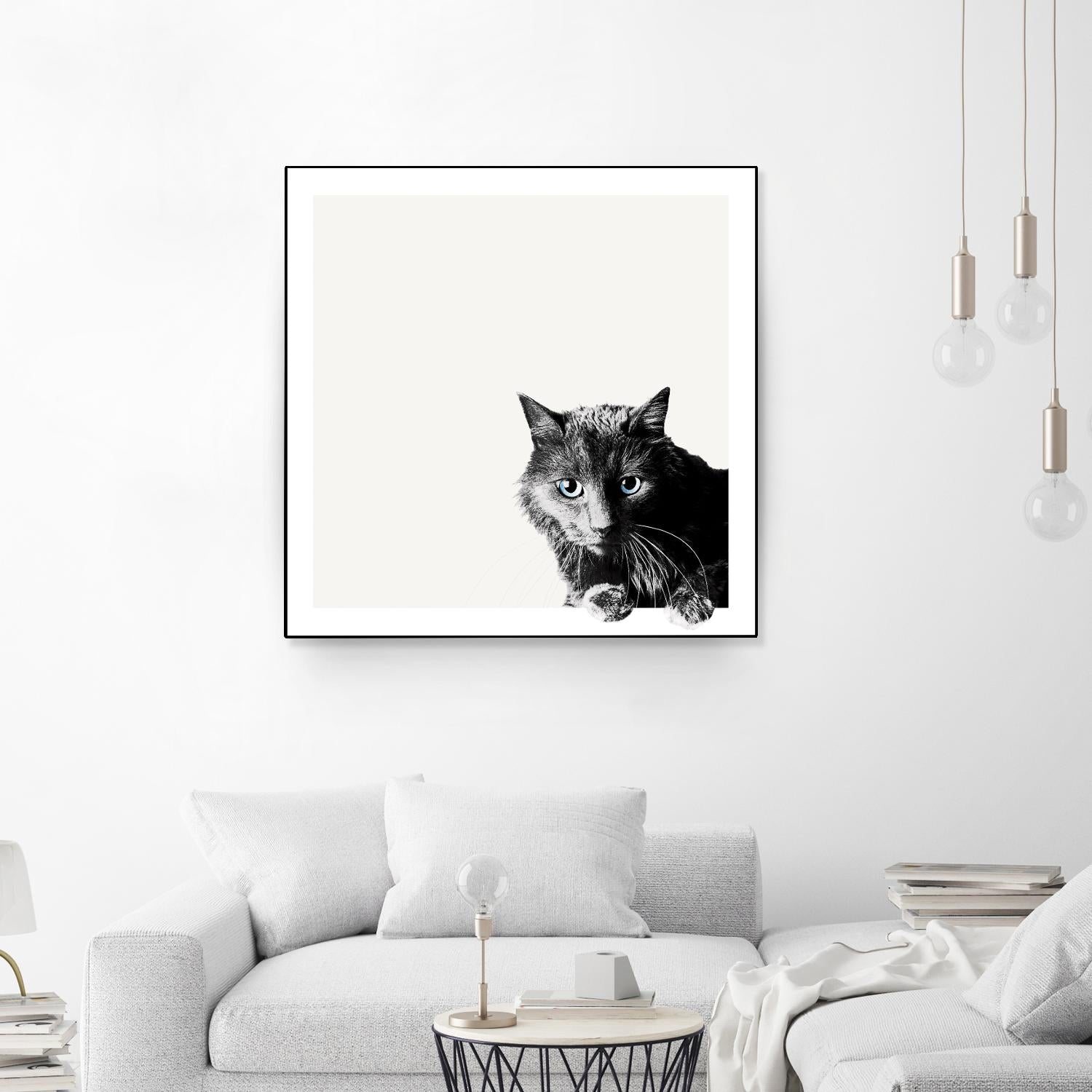 Inquisitive by Jon Bertelli on GIANT ART - multicolor animals; photography