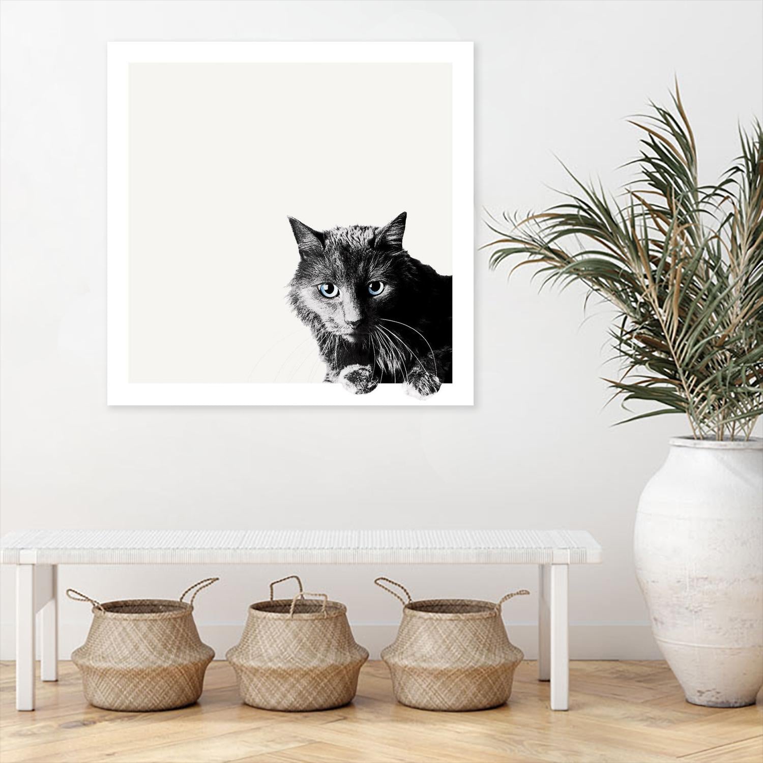 Inquisitive by Jon Bertelli on GIANT ART - multicolor animals; photography