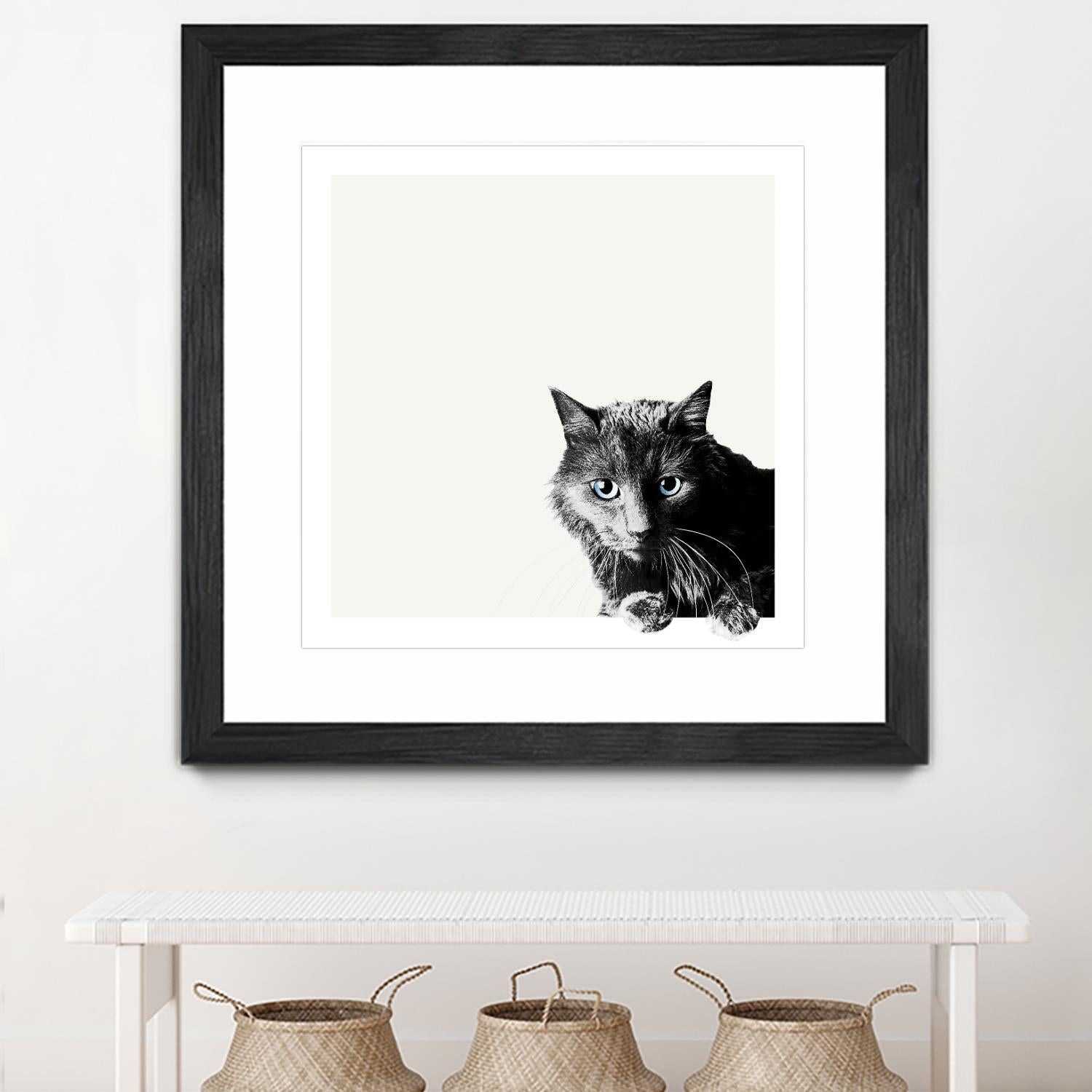 Inquisitive by Jon Bertelli on GIANT ART - multicolor animals; photography