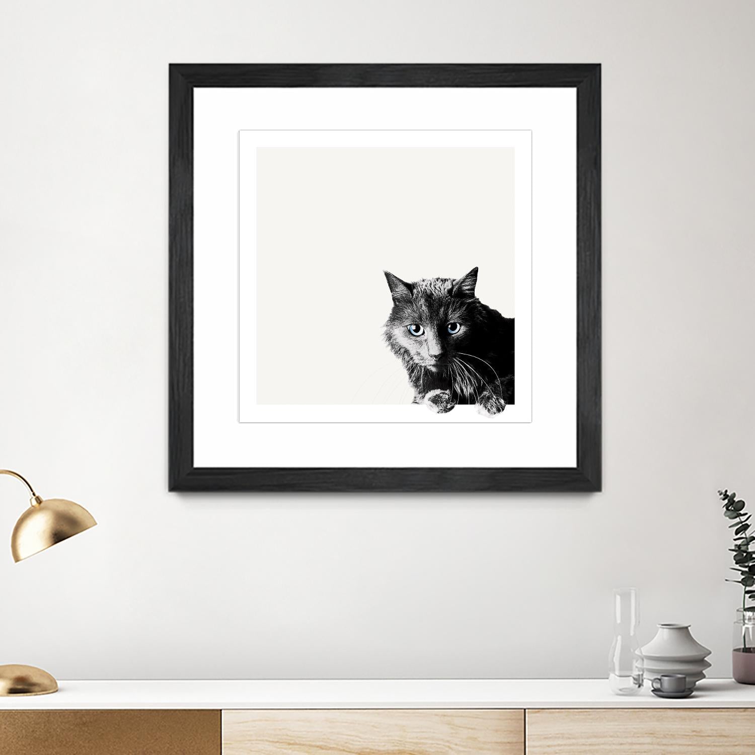 Inquisitive by Jon Bertelli on GIANT ART - multicolor animals; photography