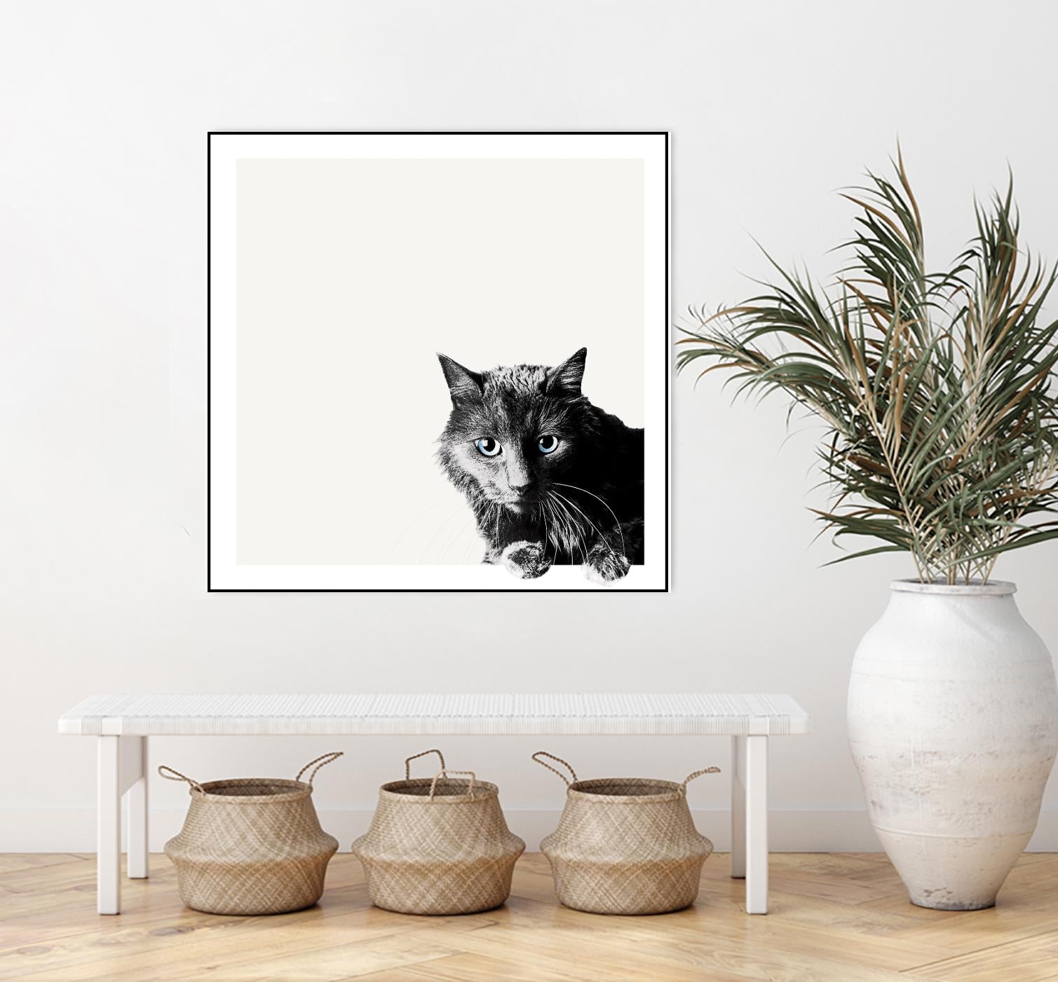 Inquisitive by Jon Bertelli on GIANT ART - multicolor animals; photography