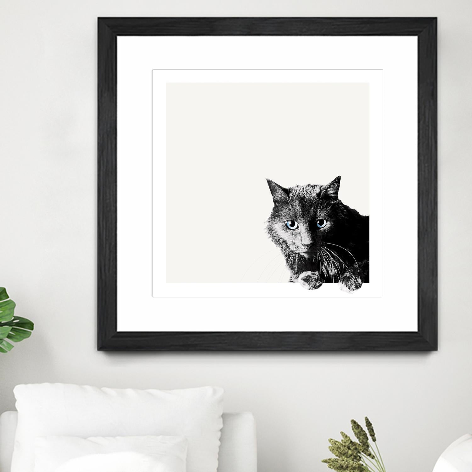 Inquisitive by Jon Bertelli on GIANT ART - multicolor animals; photography