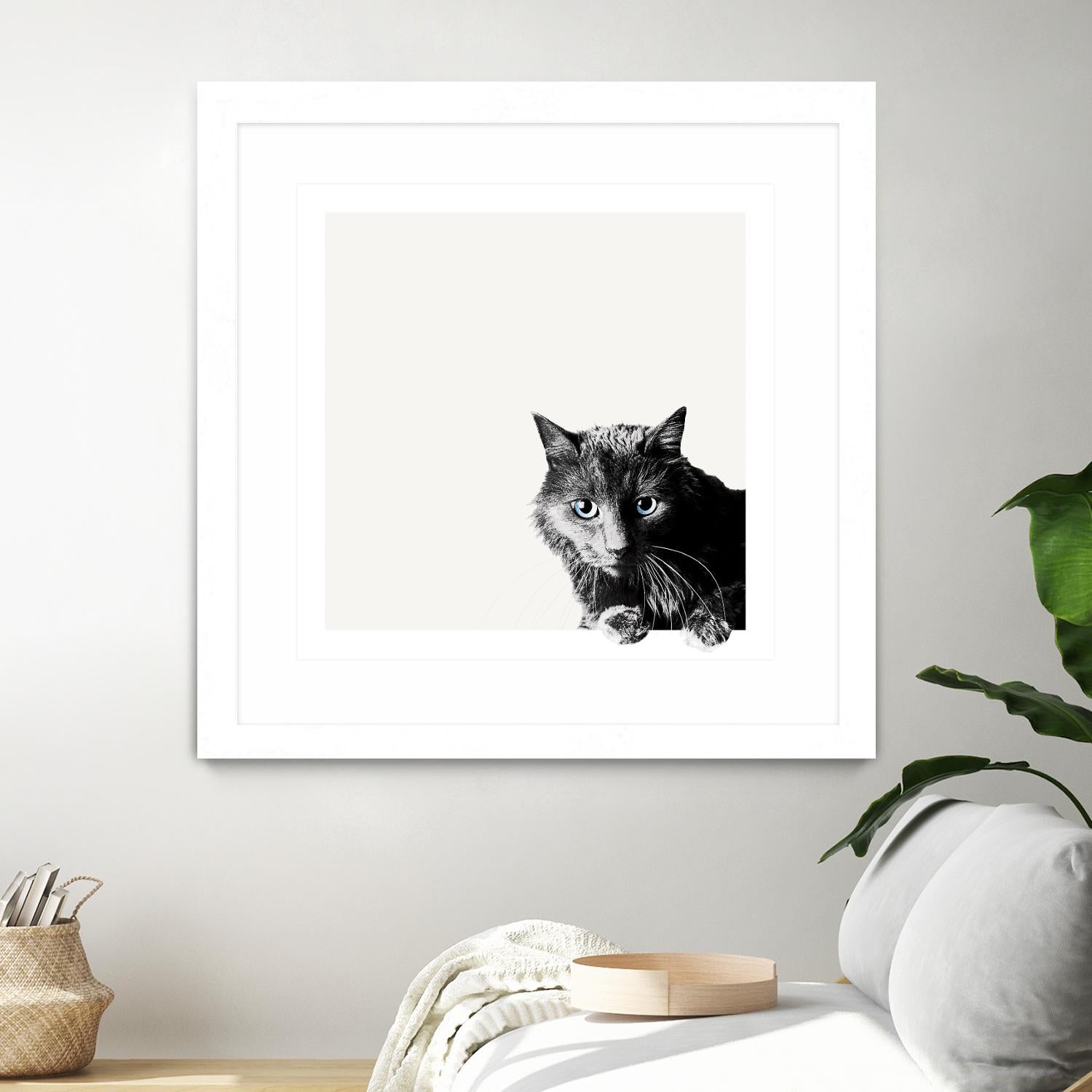 Inquisitive by Jon Bertelli on GIANT ART - multicolor animals; photography