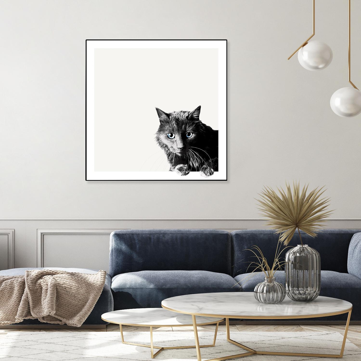 Inquisitive by Jon Bertelli on GIANT ART - multicolor animals; photography