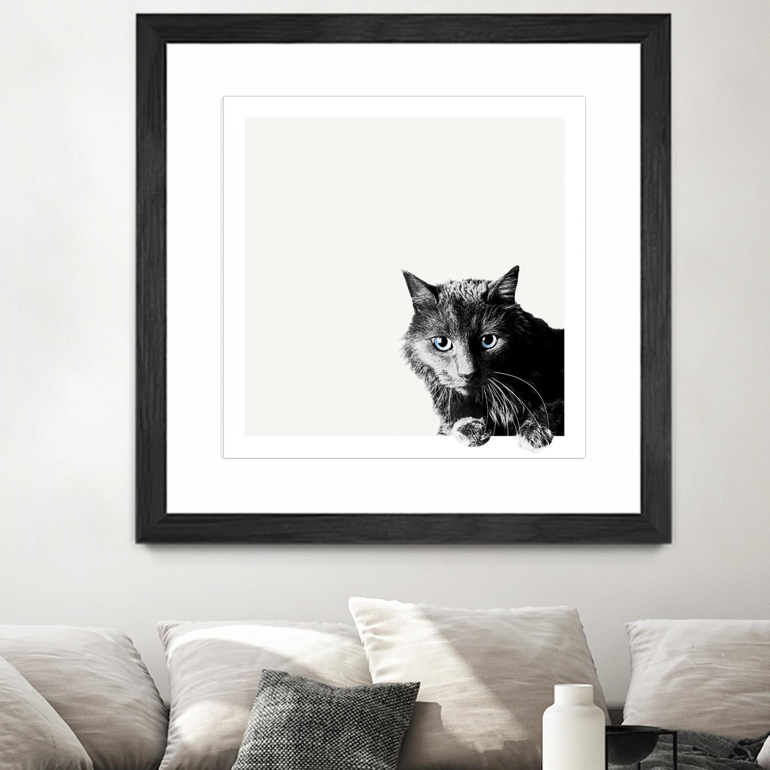 Inquisitive by Jon Bertelli on GIANT ART - multicolor animals; photography