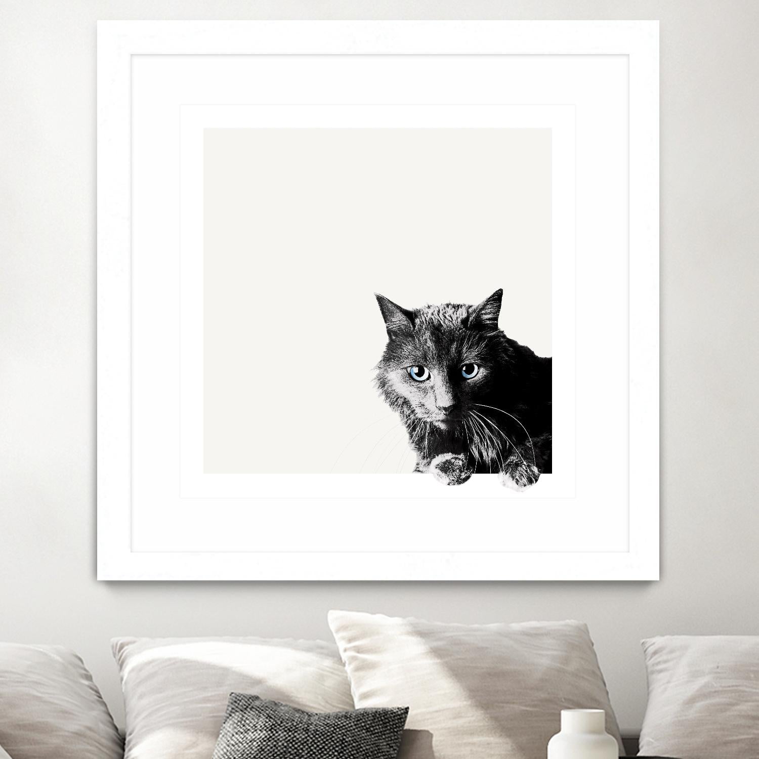 Inquisitive by Jon Bertelli on GIANT ART - multicolor animals; photography