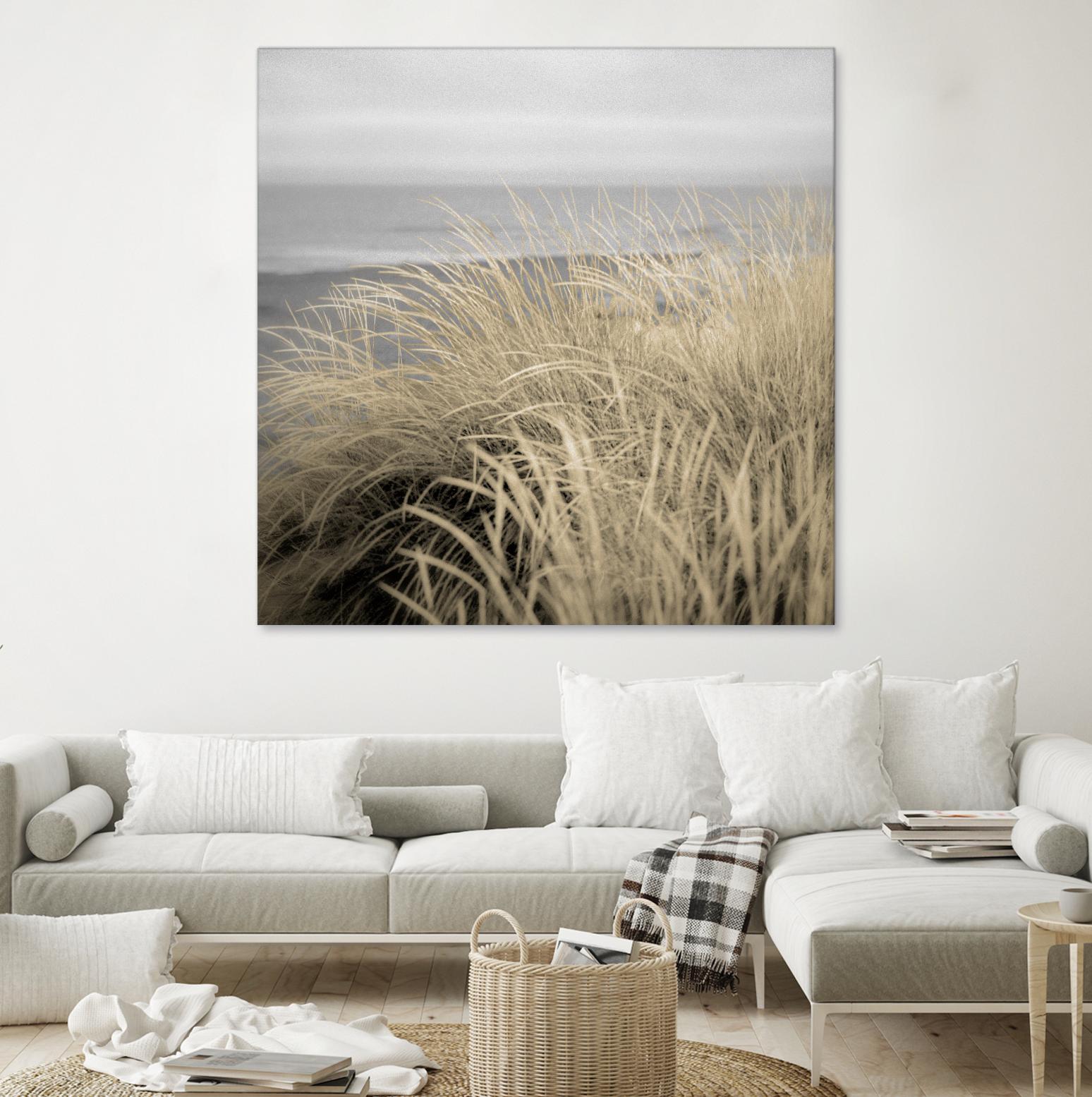 Tuscan Dunes #2A by Alan Blaustein on GIANT ART - multicolor photography; landscapes; coastal