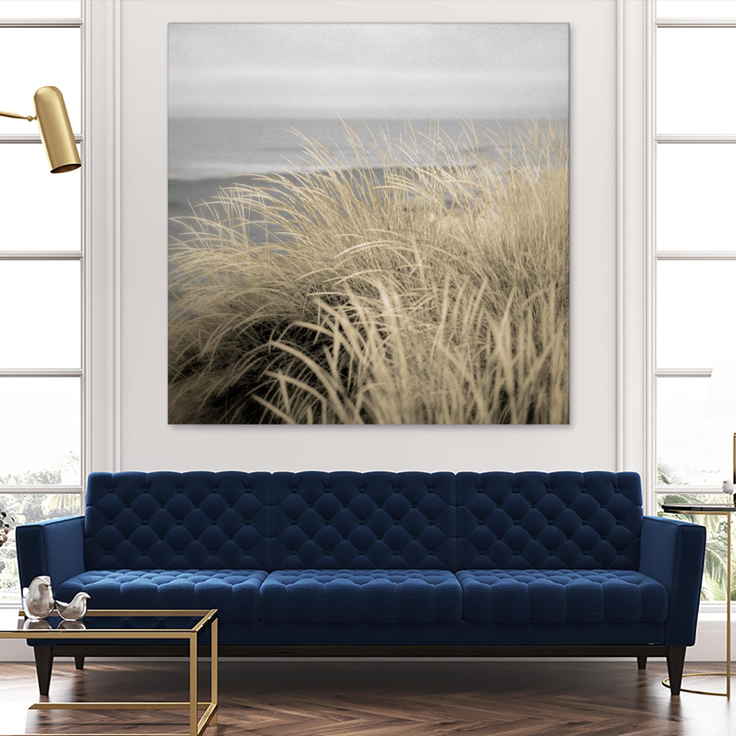 Tuscan Dunes #2A by Alan Blaustein on GIANT ART - multicolor photography; landscapes; coastal