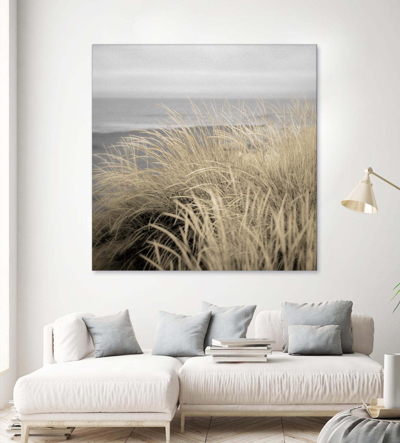 Tuscan Dunes #2A by Alan Blaustein on GIANT ART - multicolor photography; landscapes; coastal