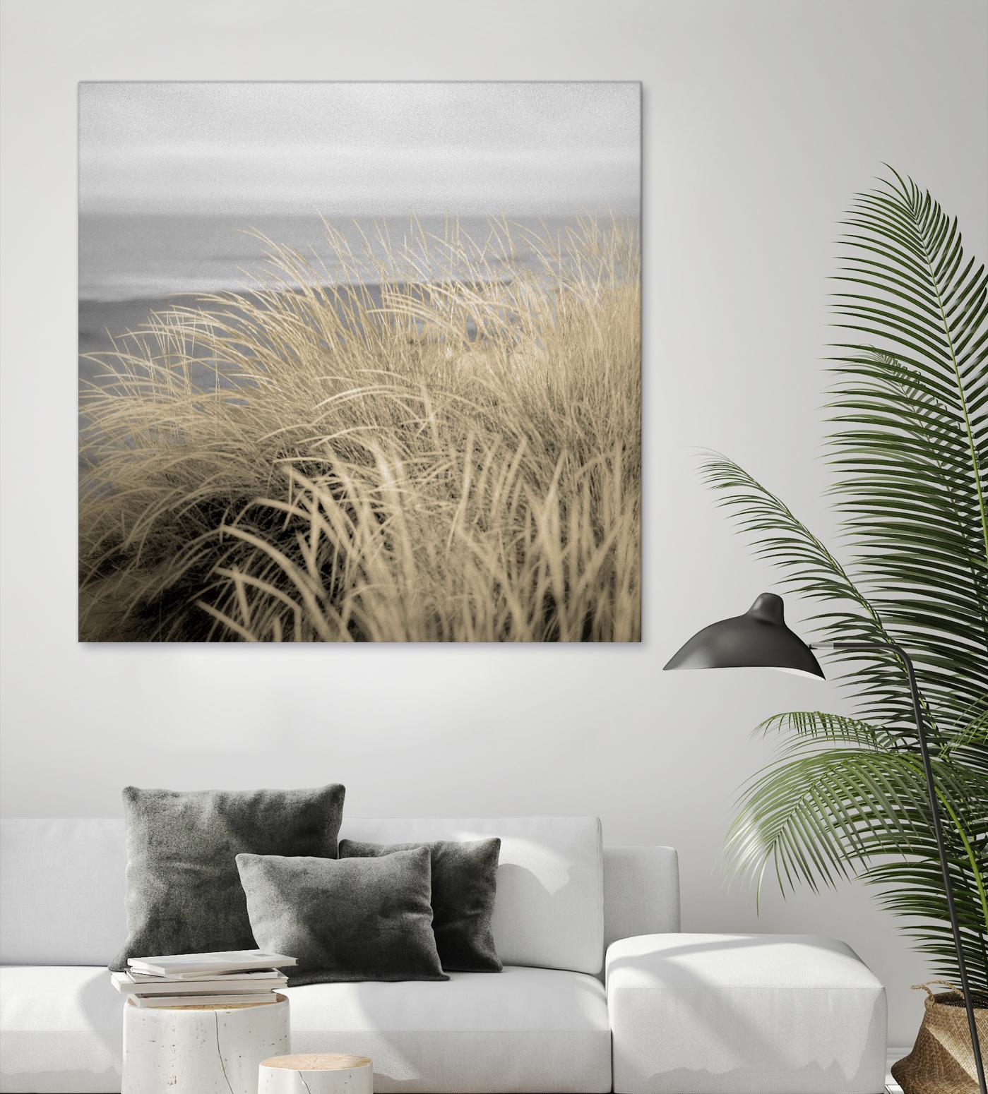 Tuscan Dunes #2A by Alan Blaustein on GIANT ART - multicolor photography; landscapes; coastal