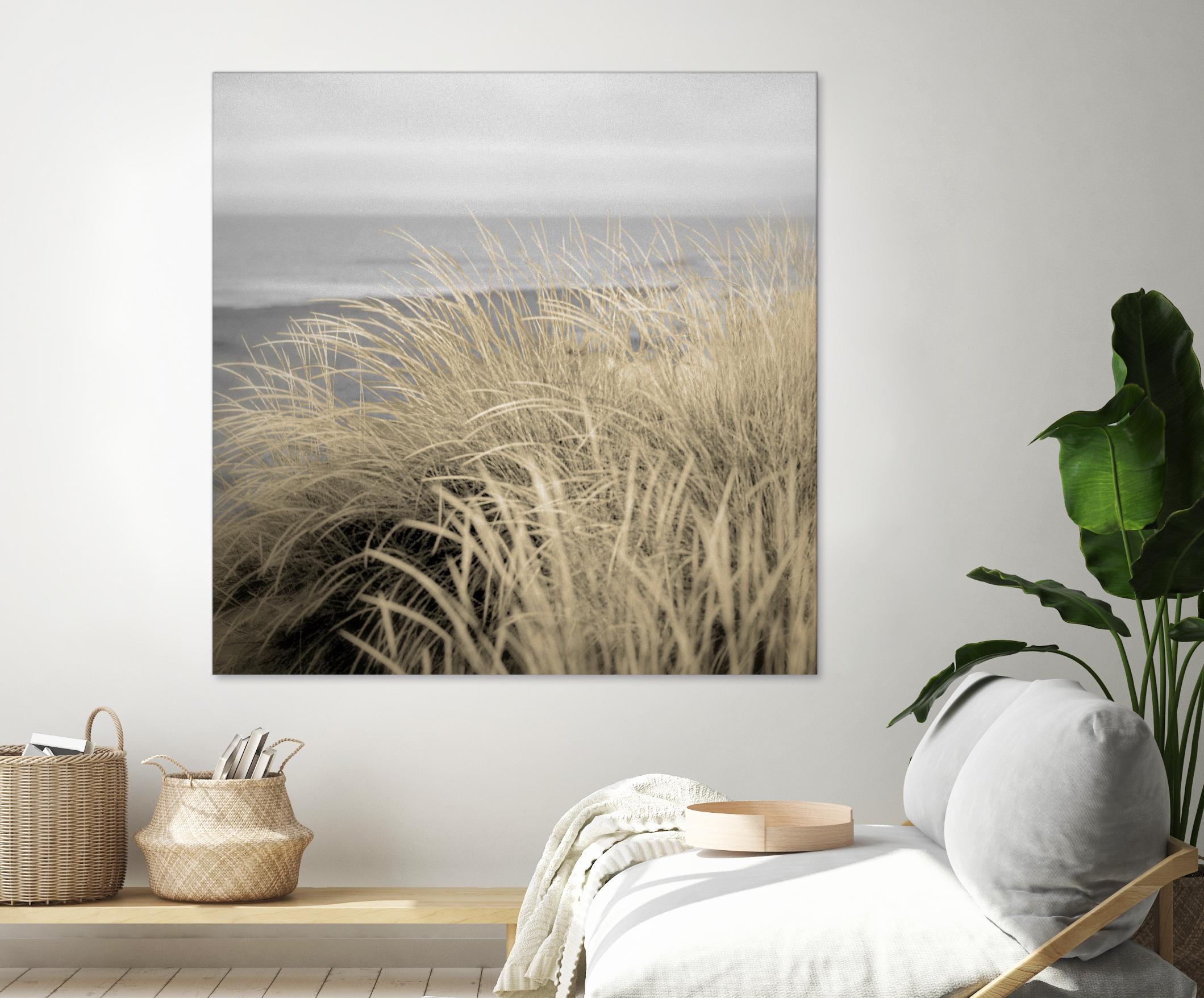 Tuscan Dunes #2A by Alan Blaustein on GIANT ART - multicolor photography; landscapes; coastal