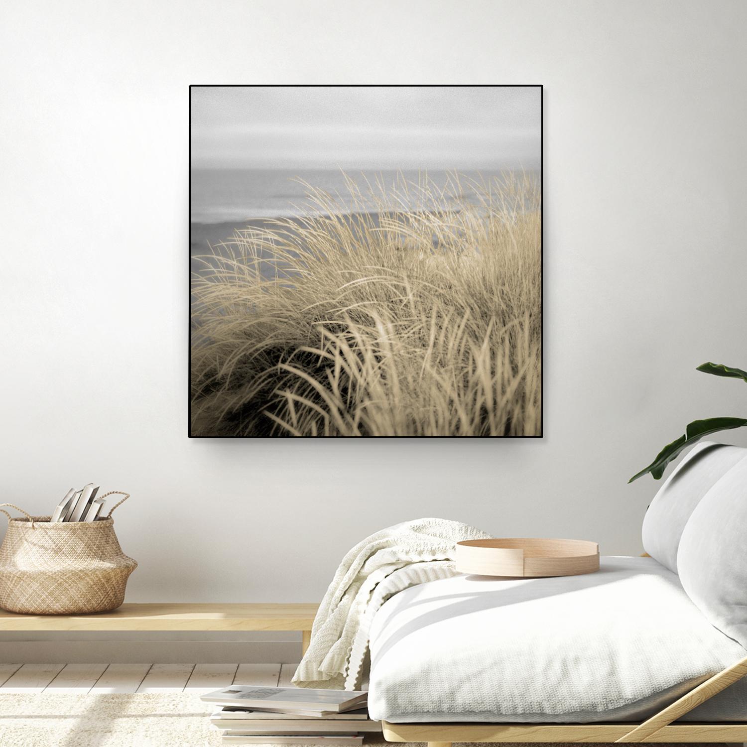 Tuscan Dunes #2A by Alan Blaustein on GIANT ART - multicolor photography; landscapes; coastal