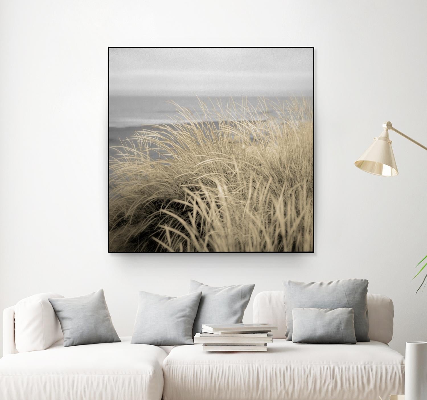 Tuscan Dunes #2A by Alan Blaustein on GIANT ART - multicolor photography; landscapes; coastal