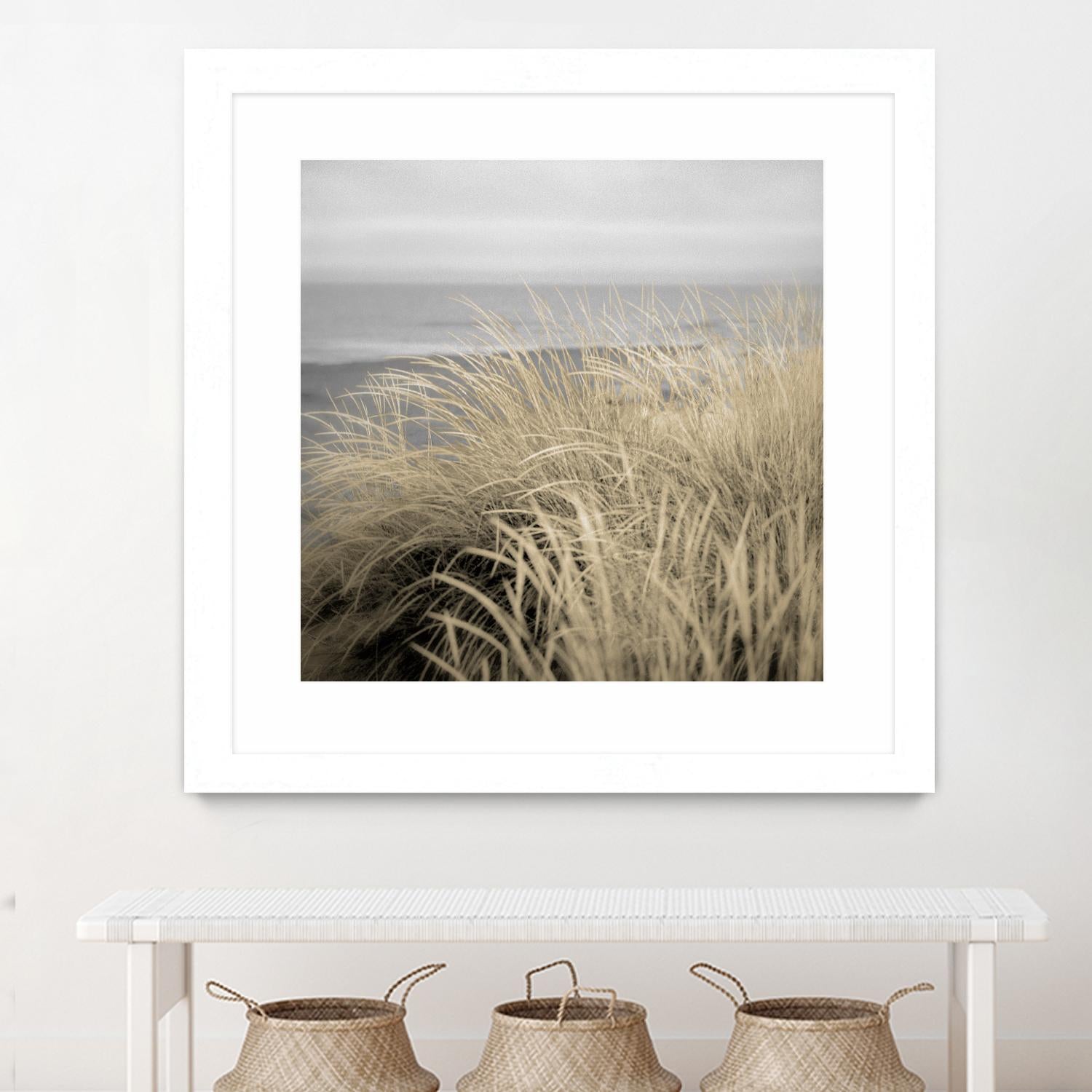 Tuscan Dunes #2A by Alan Blaustein on GIANT ART - multicolor photography; landscapes; coastal