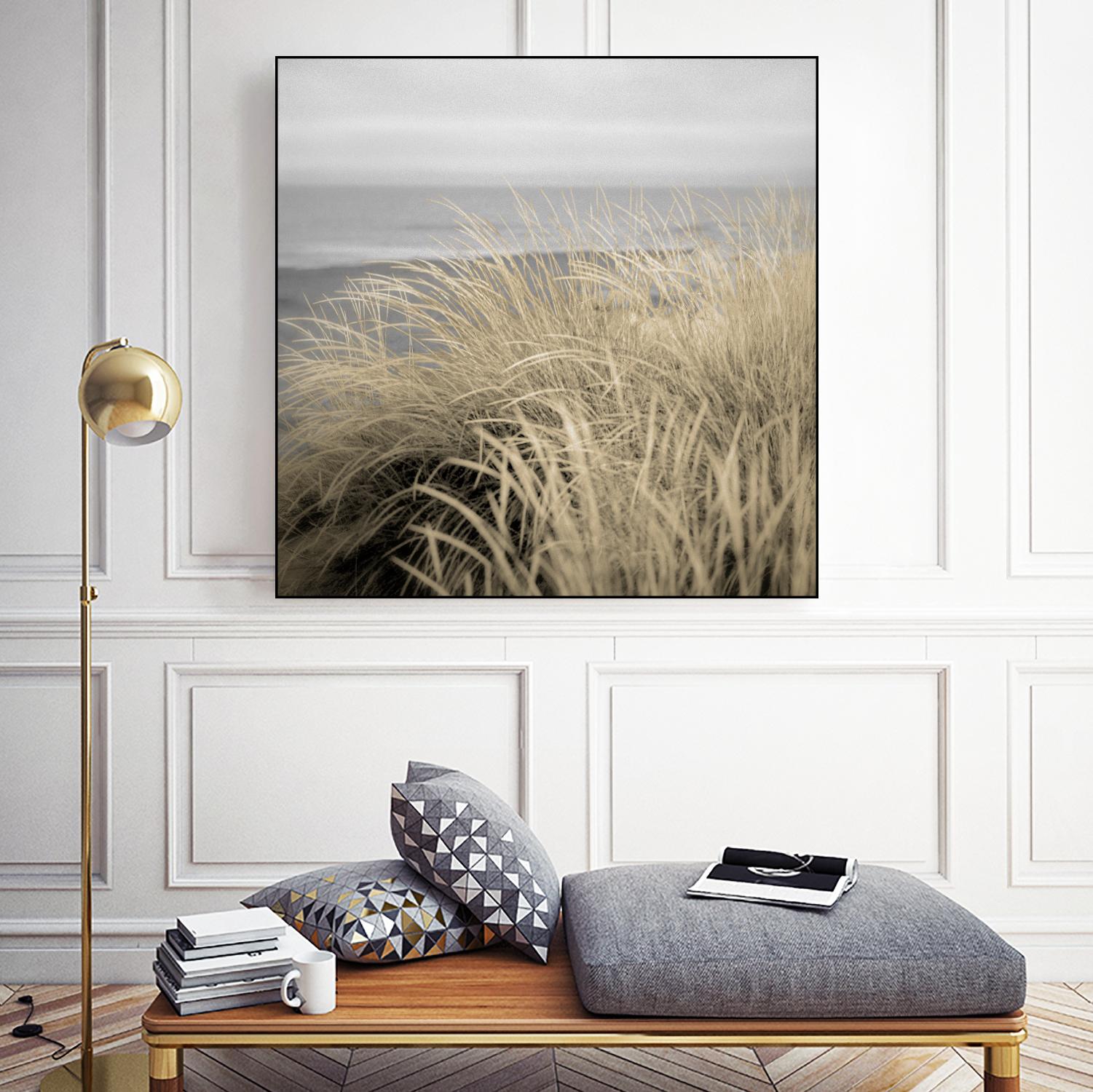 Tuscan Dunes #2A by Alan Blaustein on GIANT ART - multicolor photography; landscapes; coastal