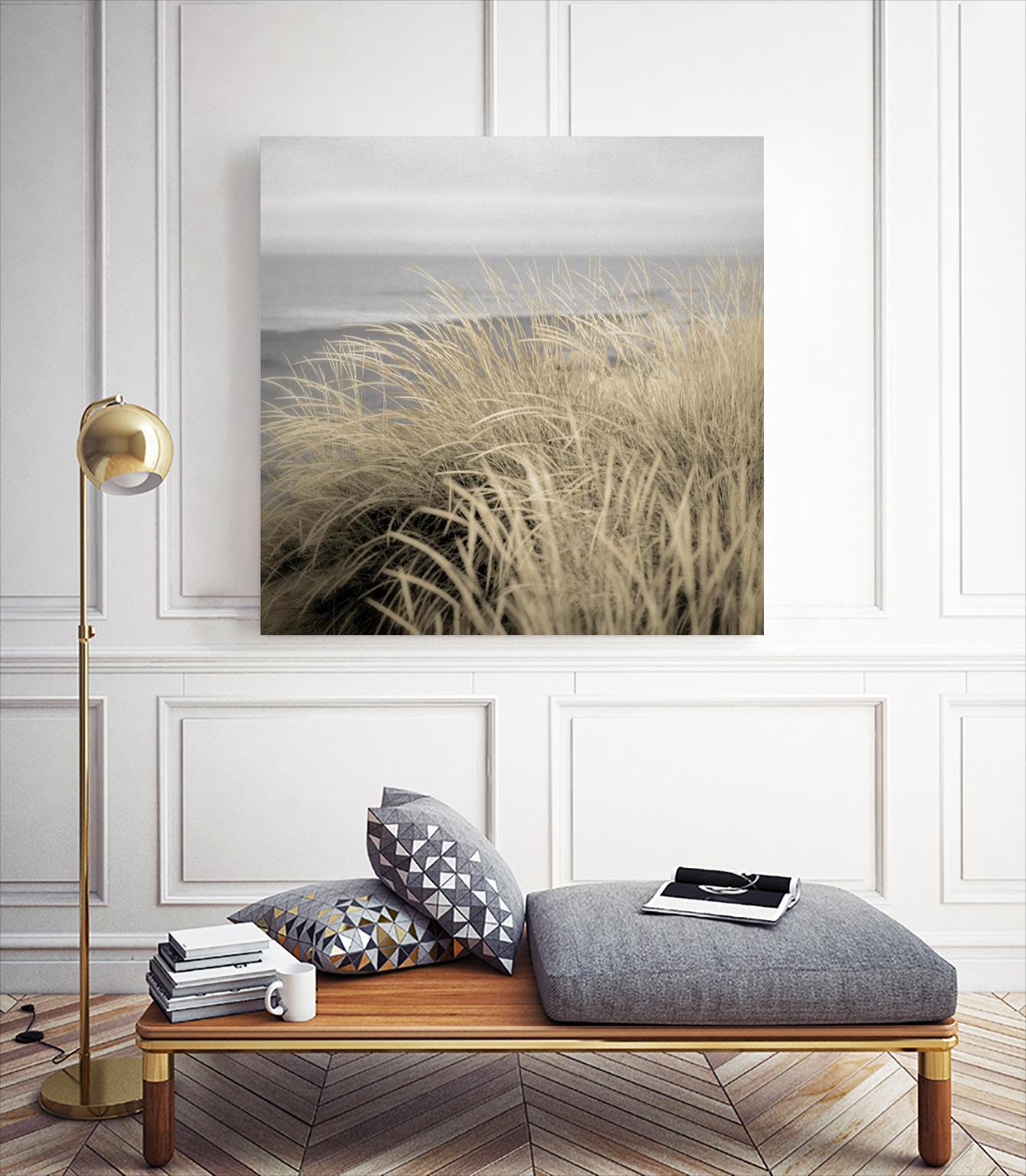 Tuscan Dunes #2A by Alan Blaustein on GIANT ART - multicolor photography; landscapes; coastal