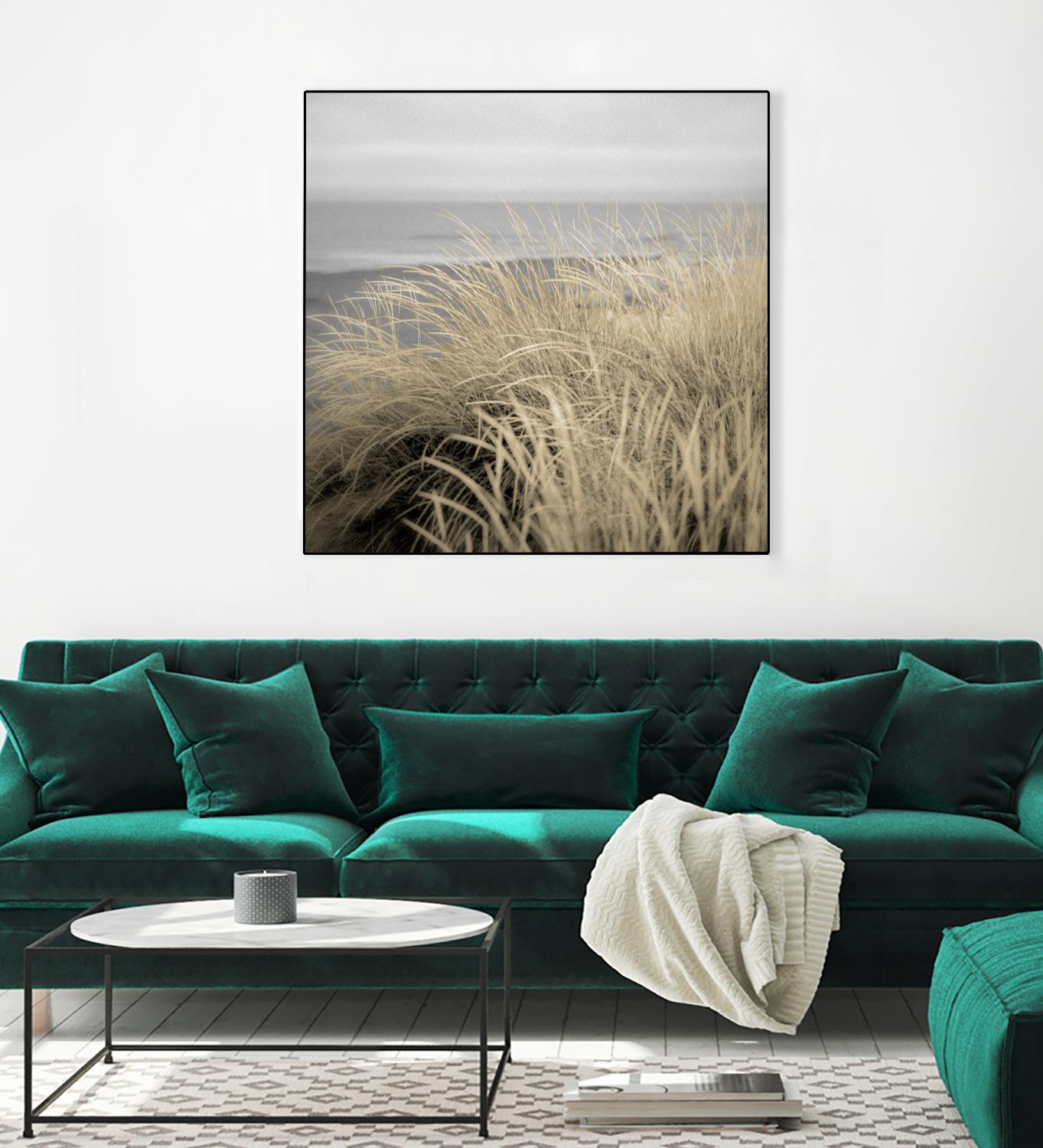 Tuscan Dunes #2A by Alan Blaustein on GIANT ART - multicolor photography; landscapes; coastal